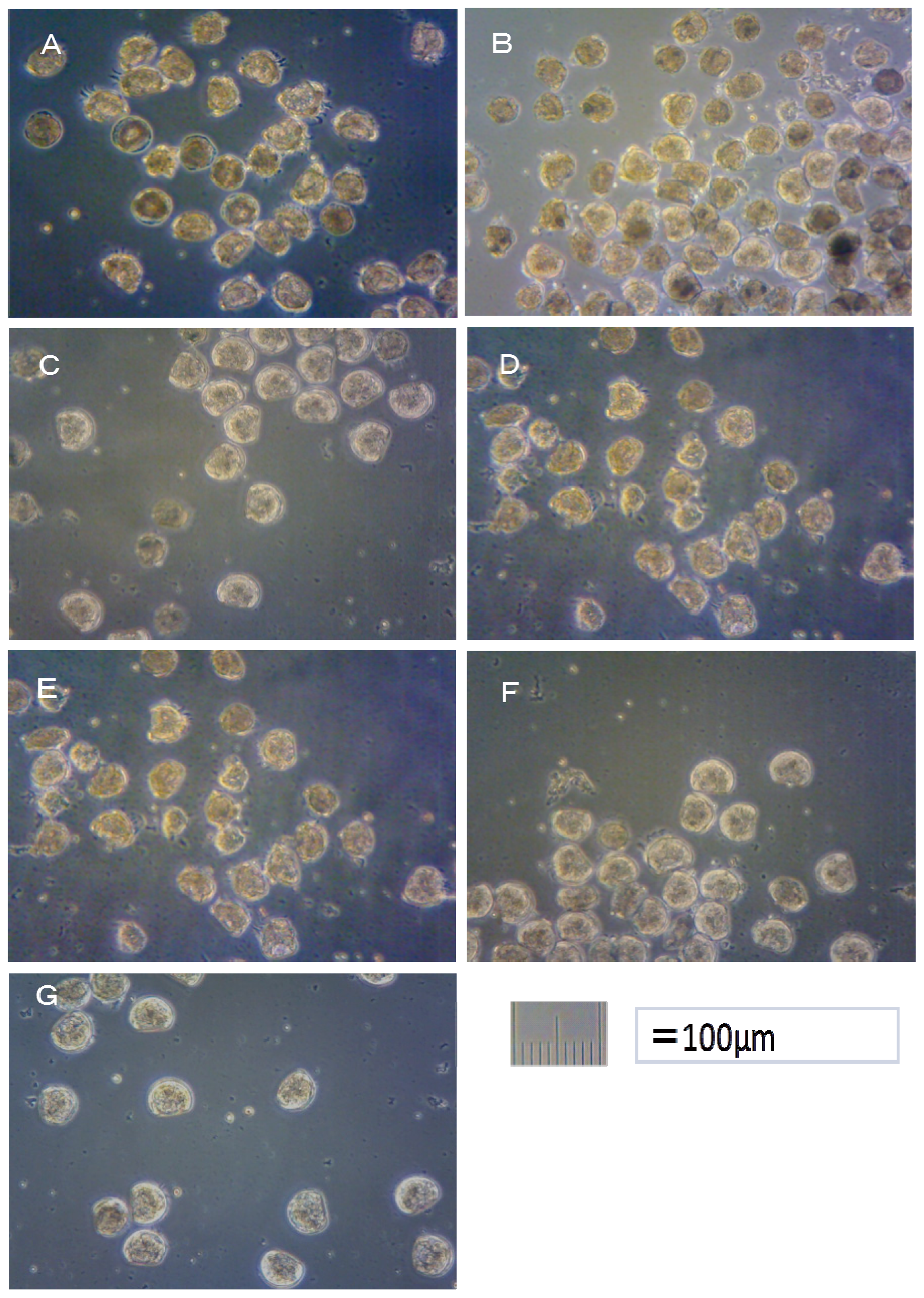 Ijms 14 00421f1 1024