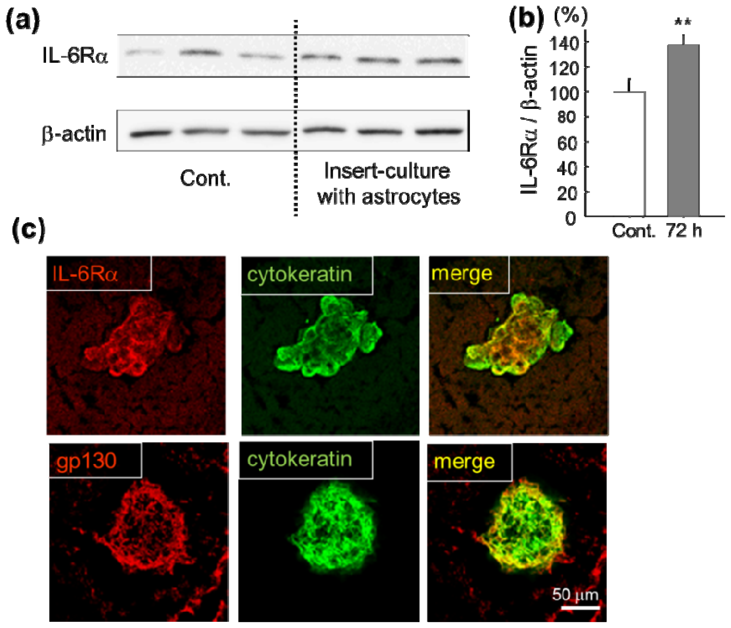 Ijms 14 00515f1 1024