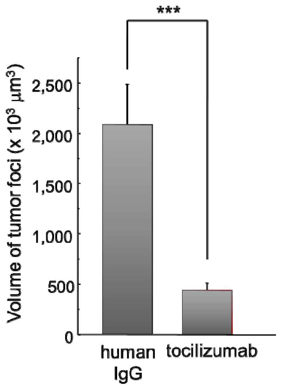 Ijms 14 00515f3 1024