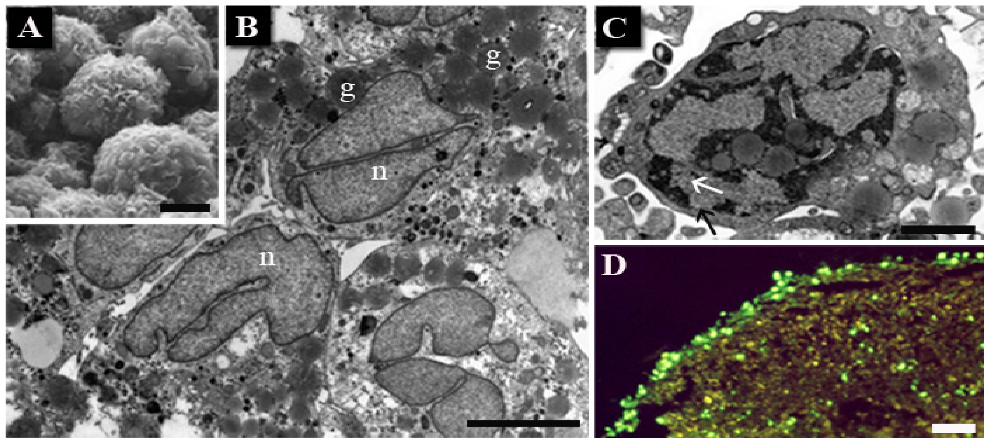 Ijms 14 00532f3 1024