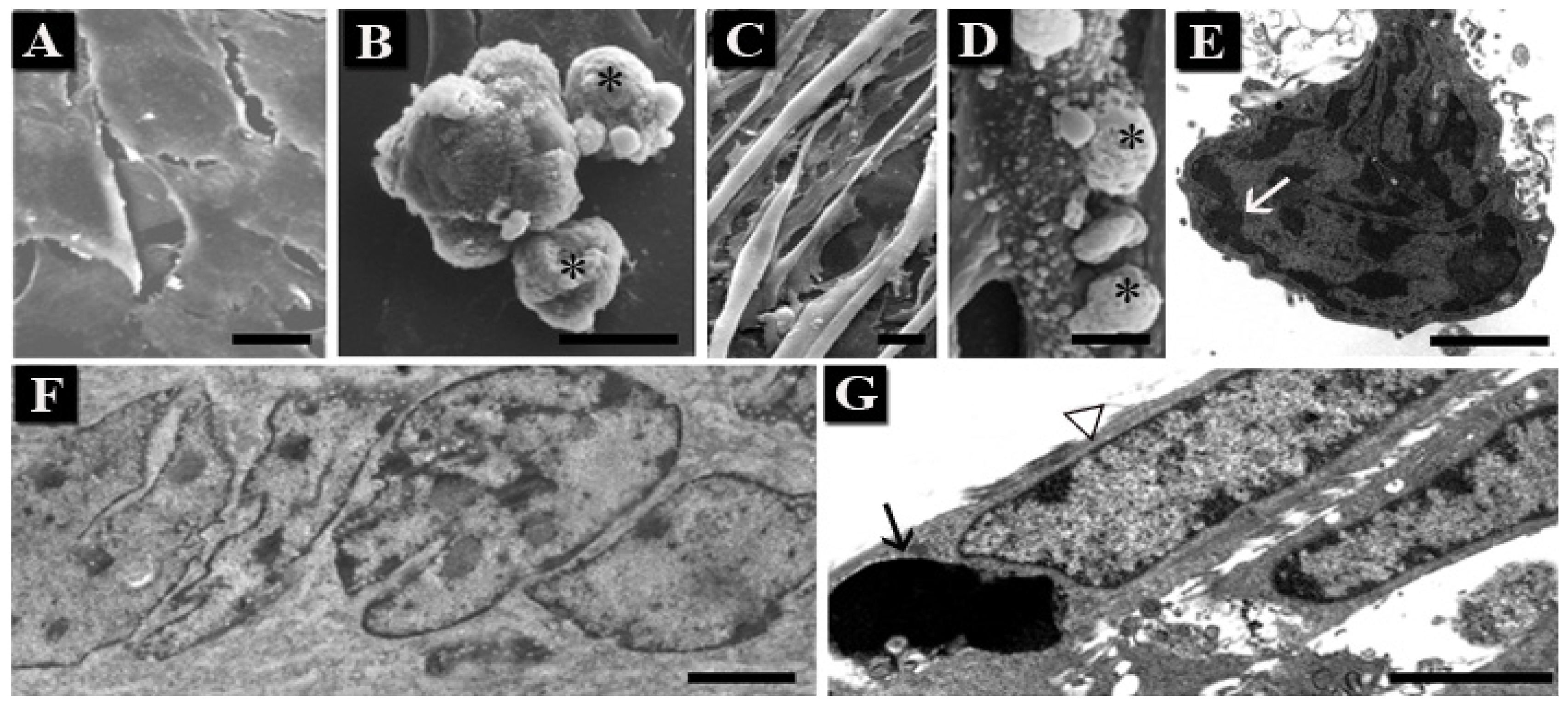 Ijms 14 00532f4 1024