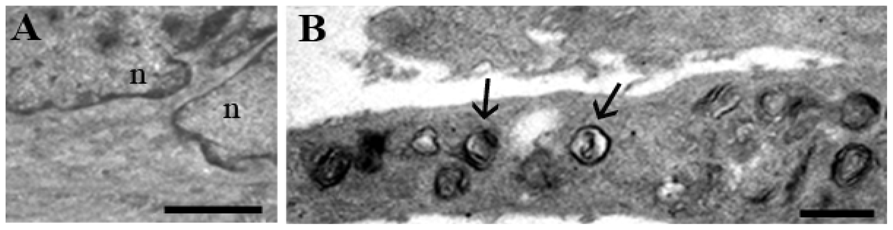 Ijms 14 00532f5 1024