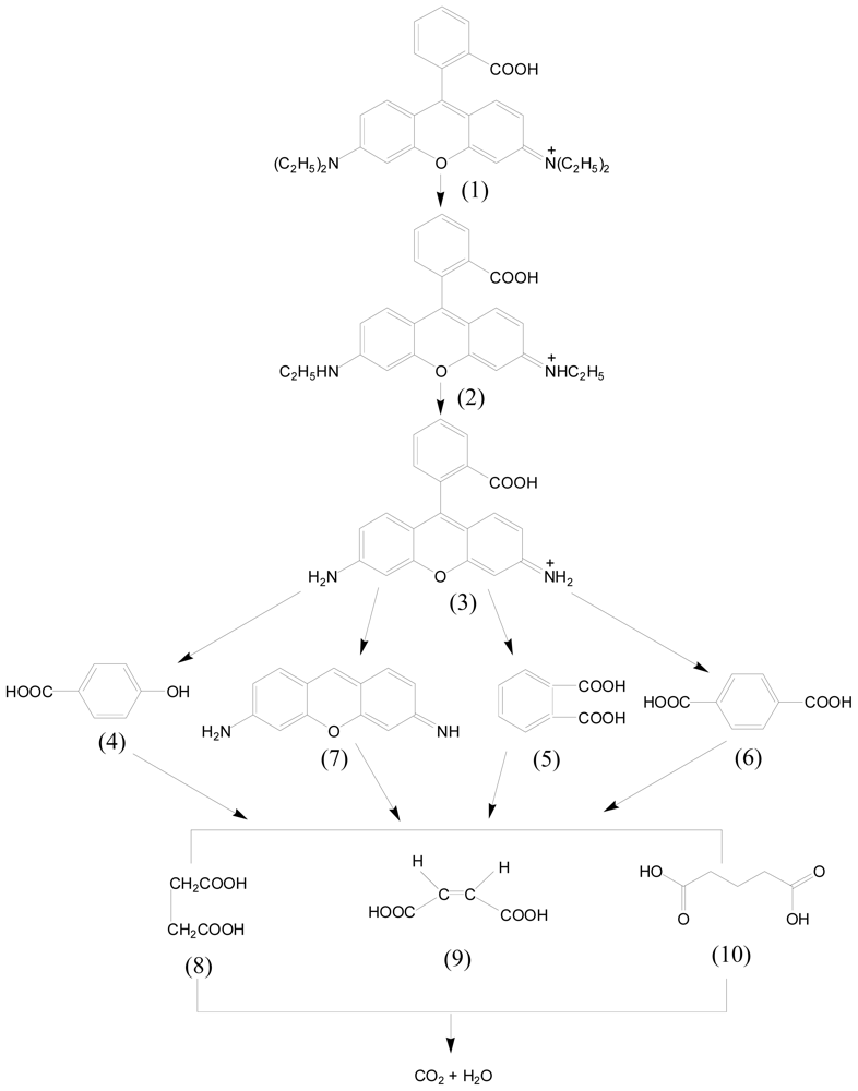 Ijms 14 00999f10 1024