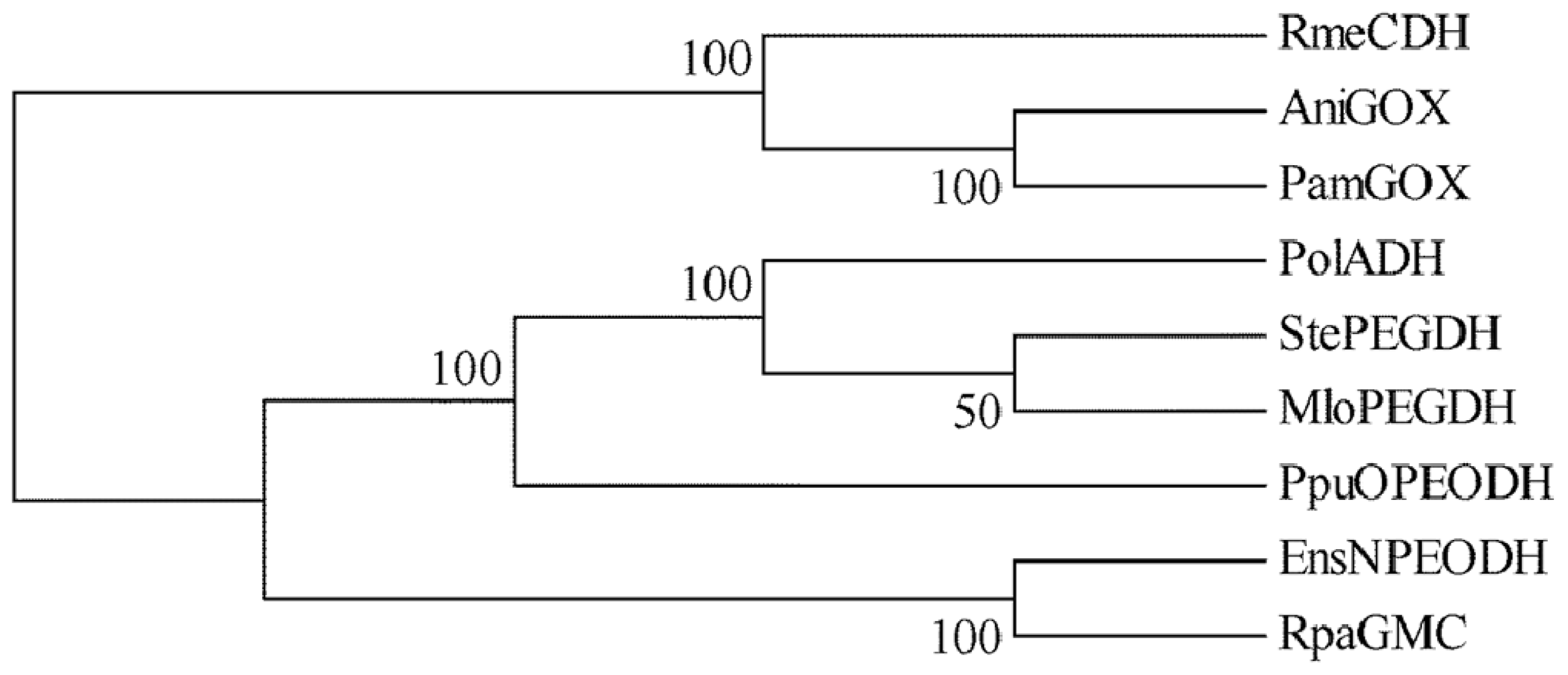 Ijms 14 01218f2 1024