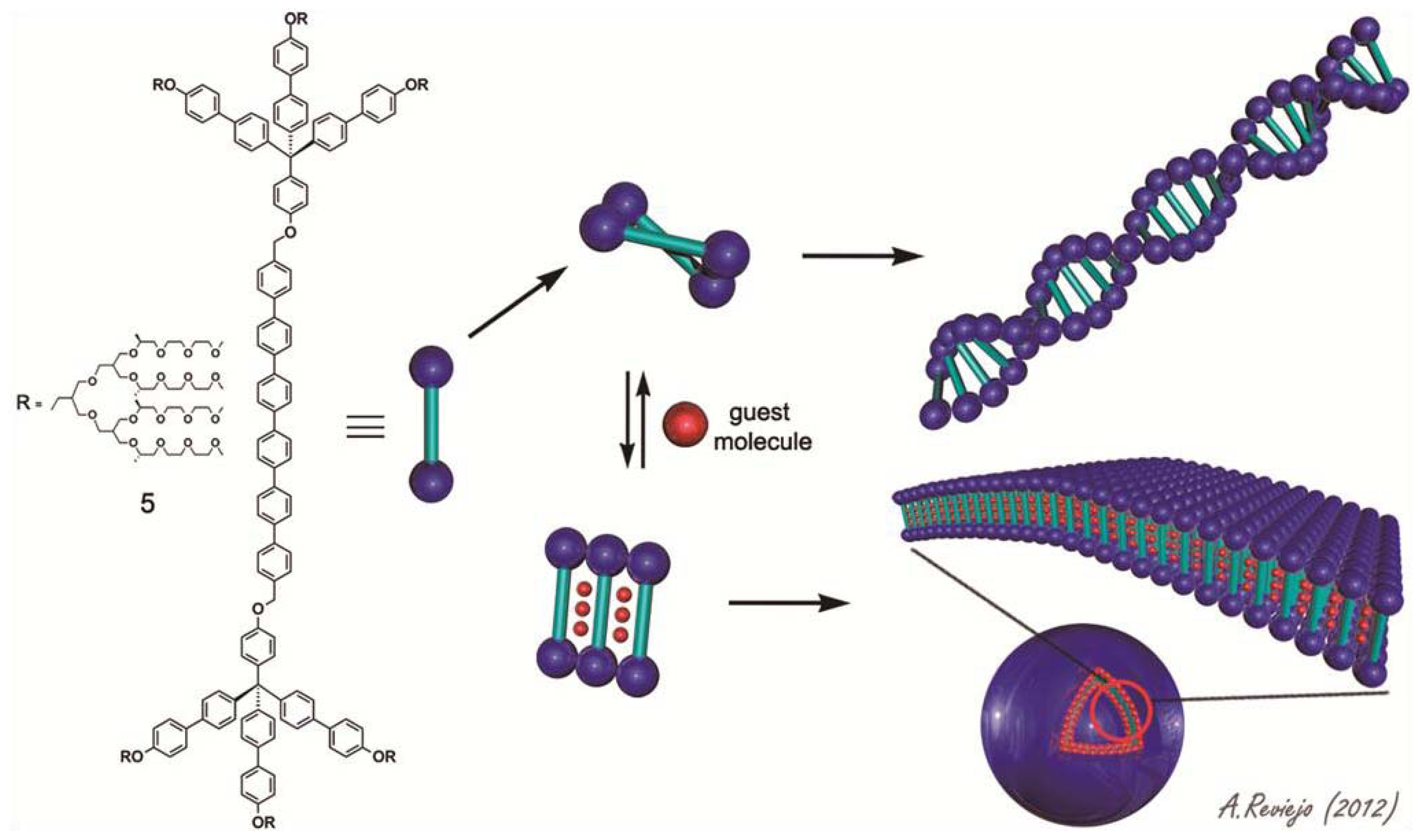 Ijms 14 01541f13 1024