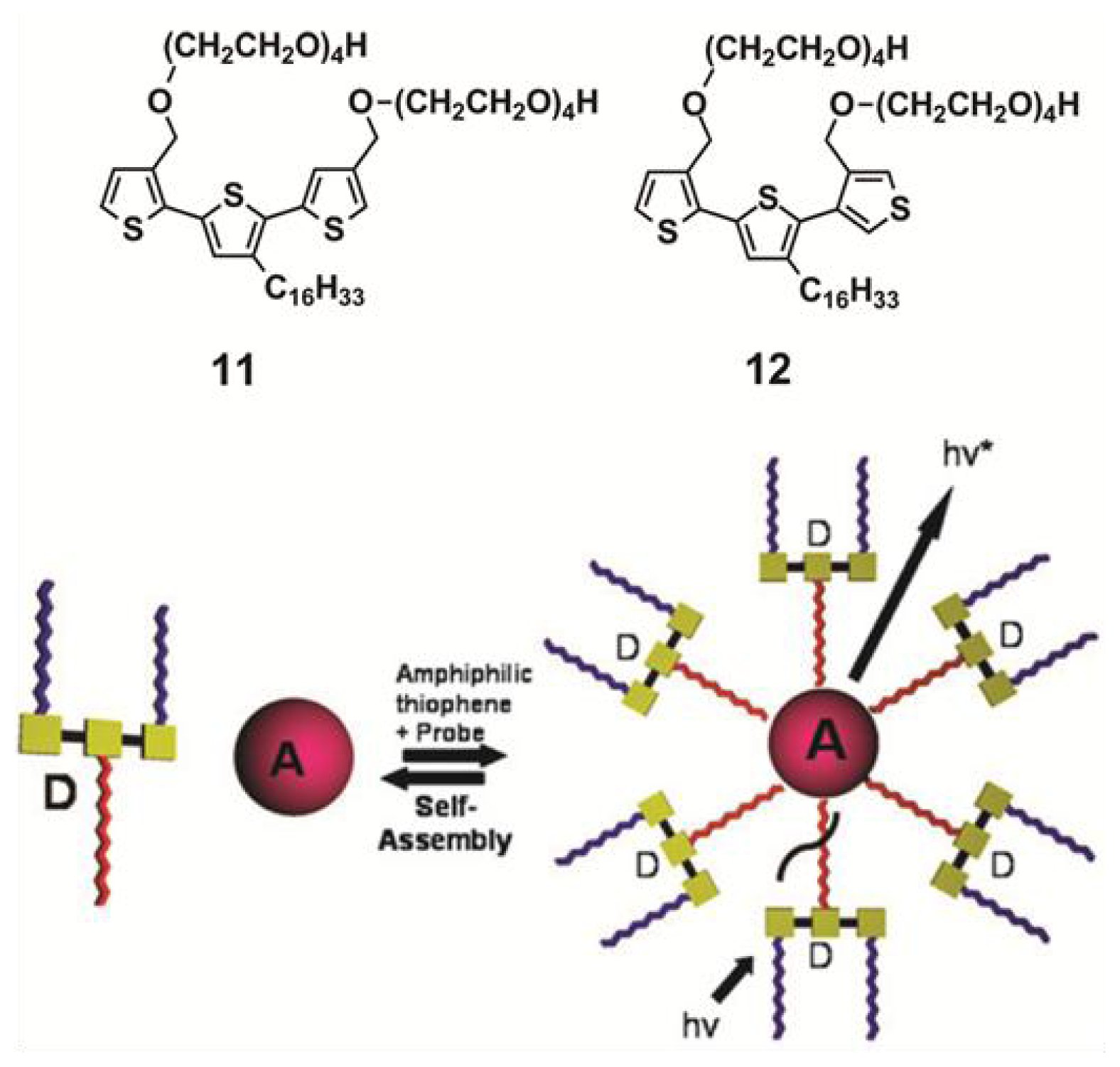 Ijms 14 01541f14 1024