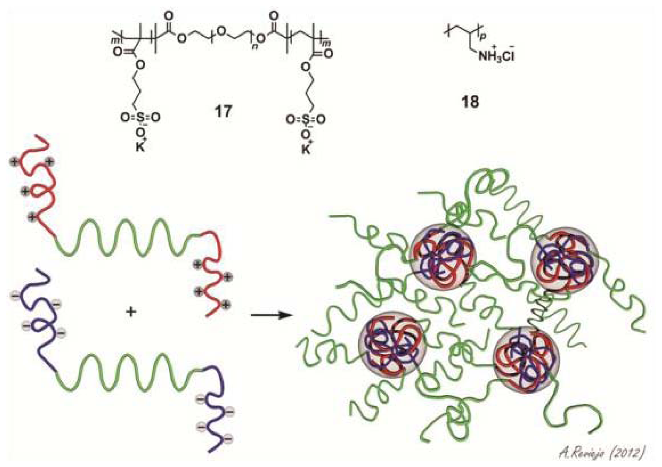 Ijms 14 01541f15 1024