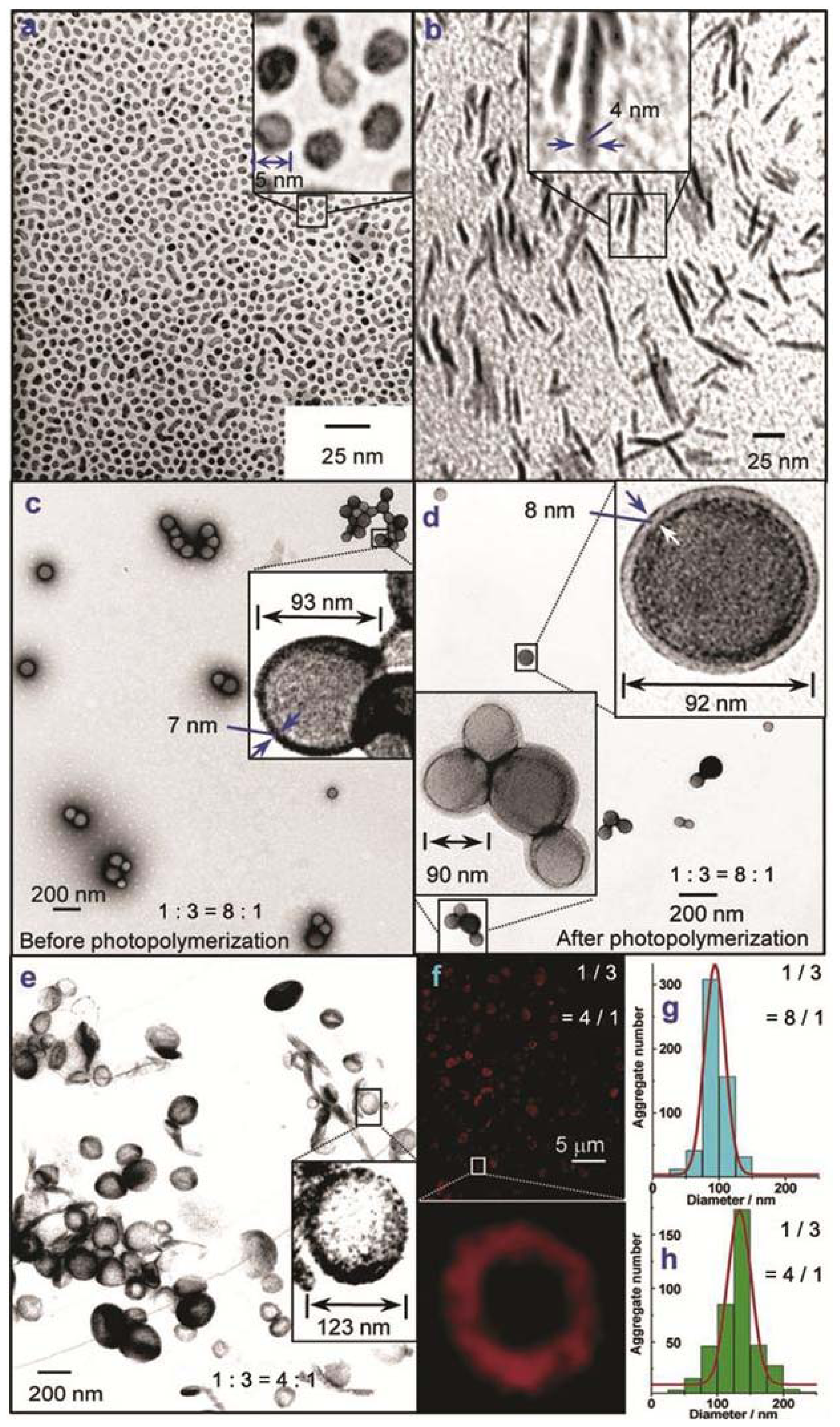 Ijms 14 01541f2 1024