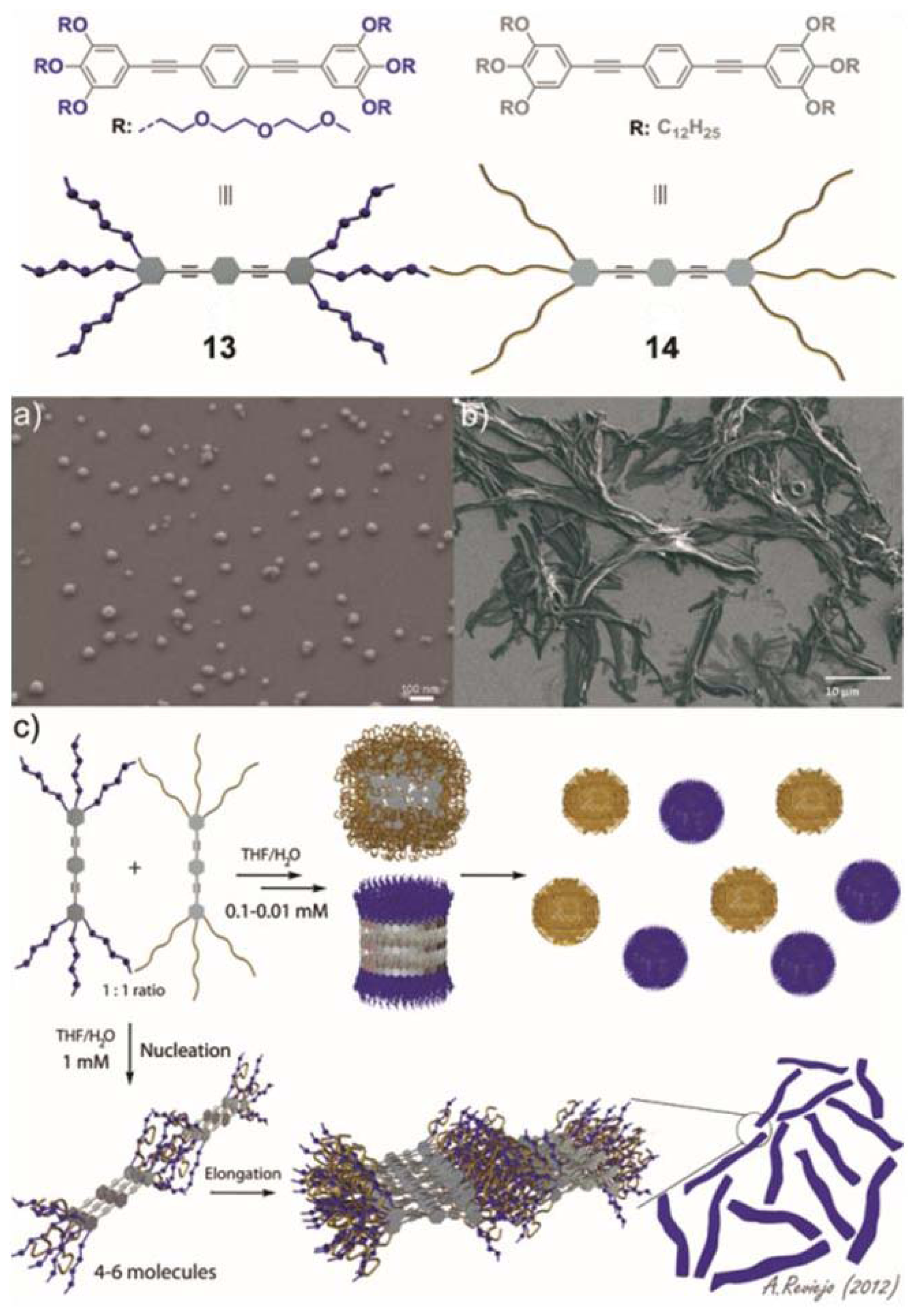 Ijms 14 01541f6 1024