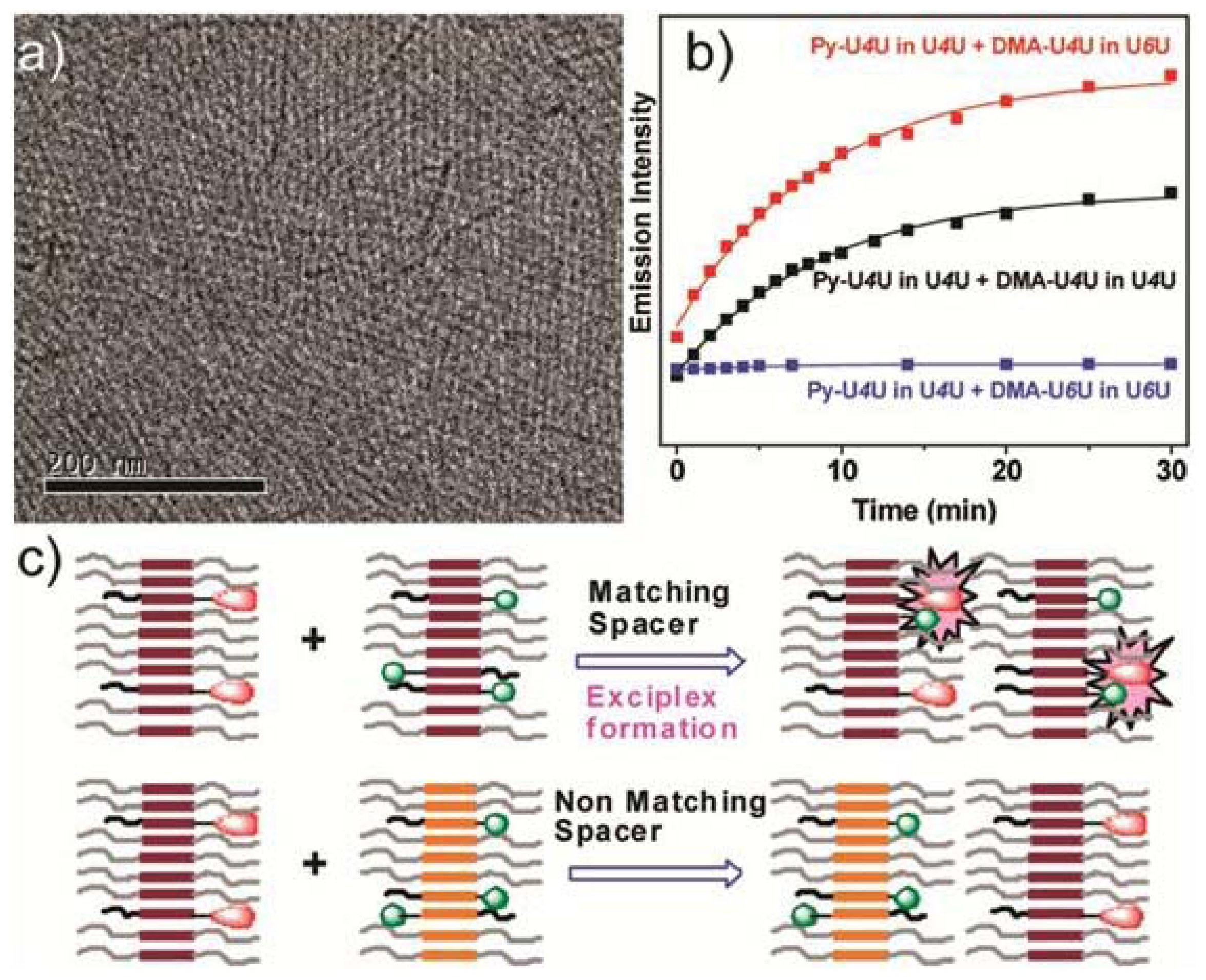 Ijms 14 01541f8b 1024