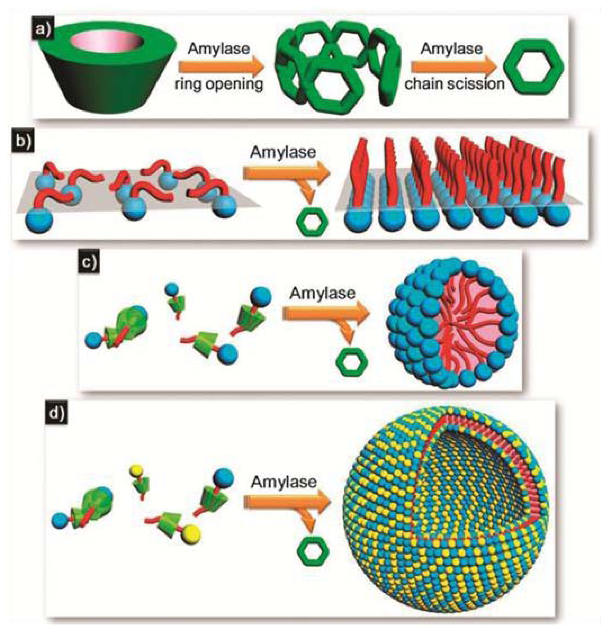 Ijms 14 01541f9 1024