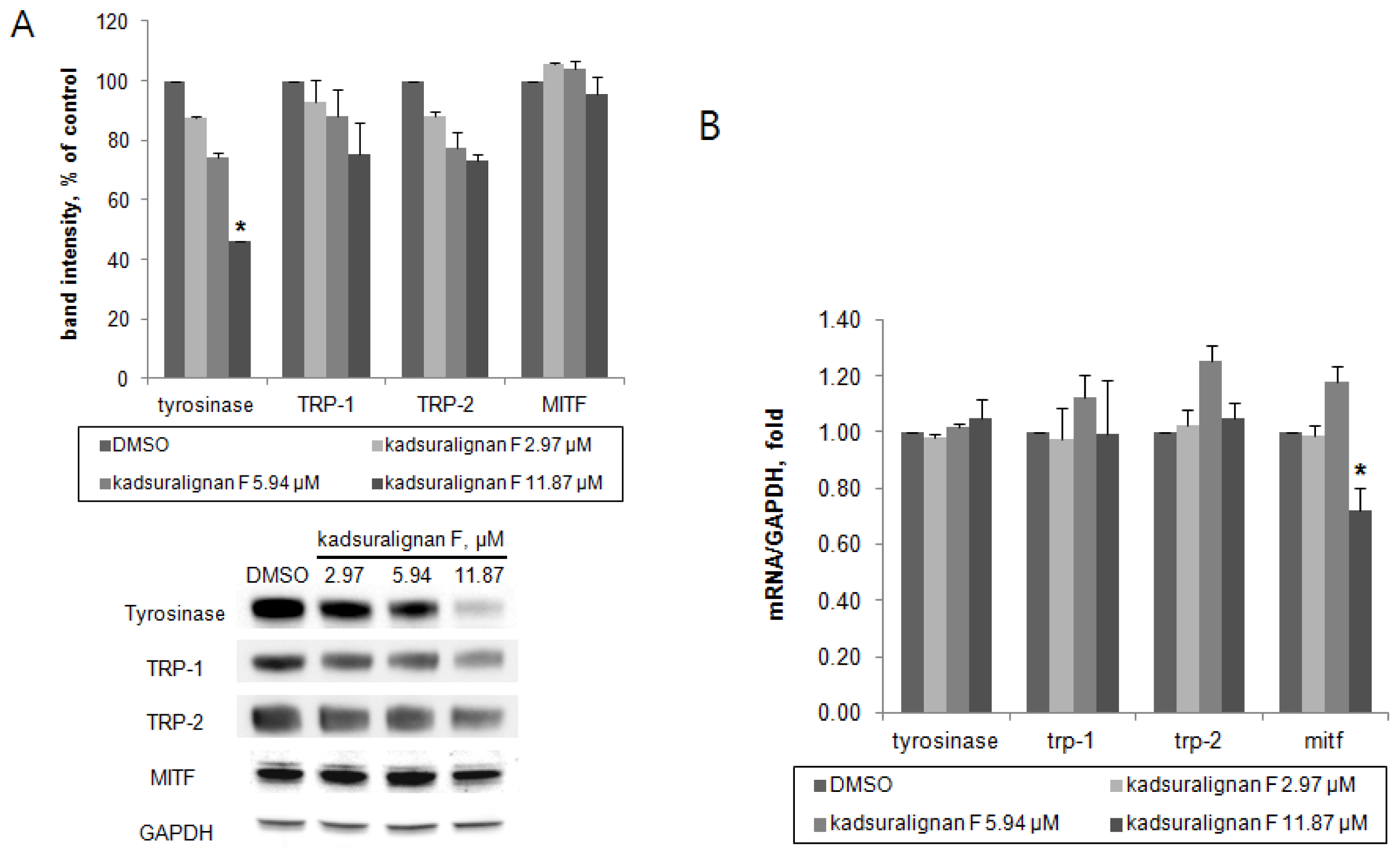 Ijms 14 01655f6 1024