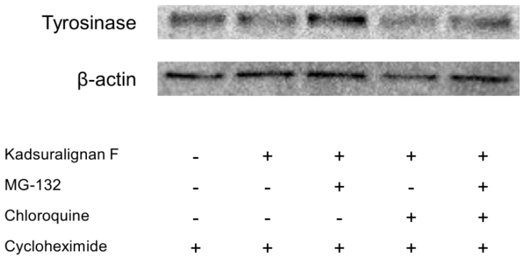 Ijms 14 01655f7 1024