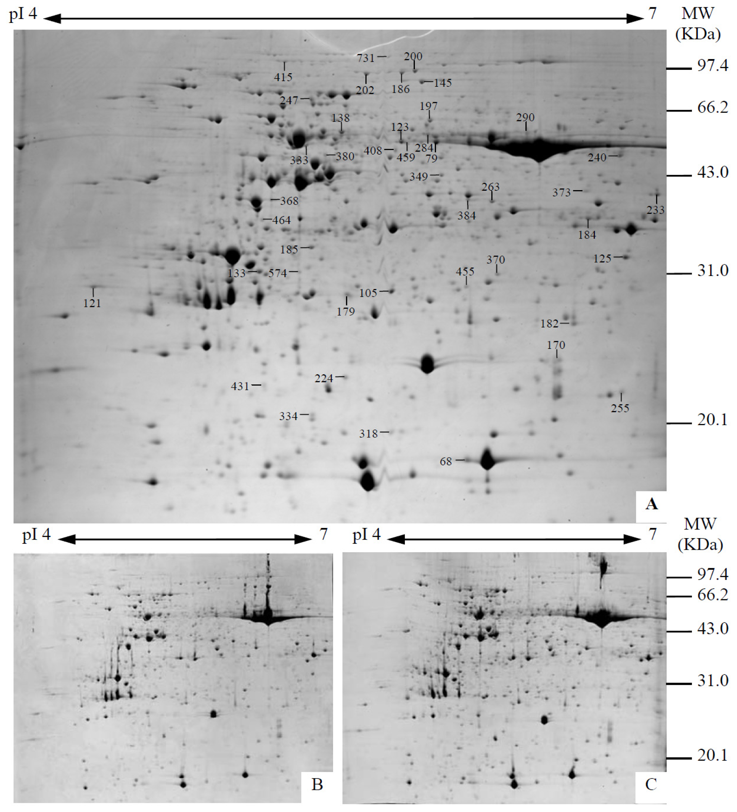 Ijms 14 01740f5 1024