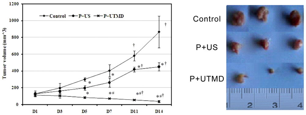 Ijms 14 01763f1 1024