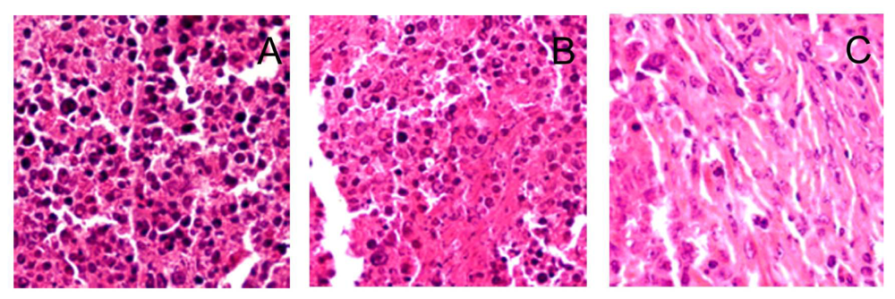 Ijms 14 01763f5a 1024