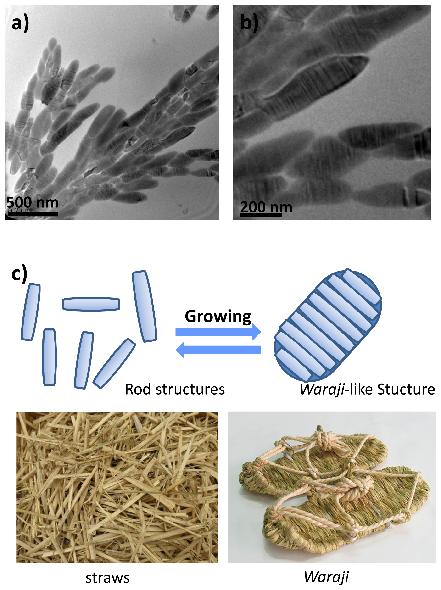 Ijms 14 02022f7 1024