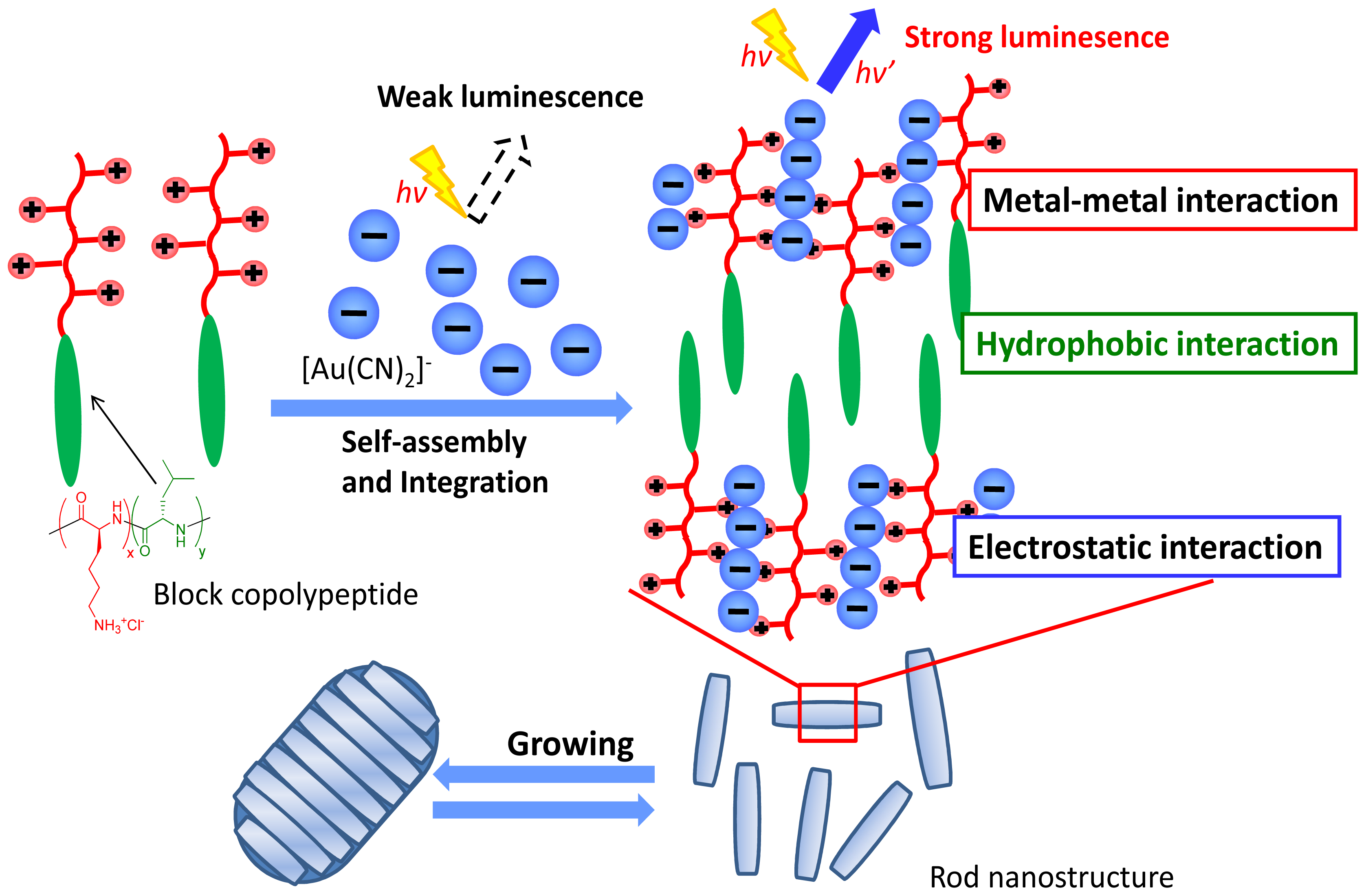 Ijms 14 02022f8 1024