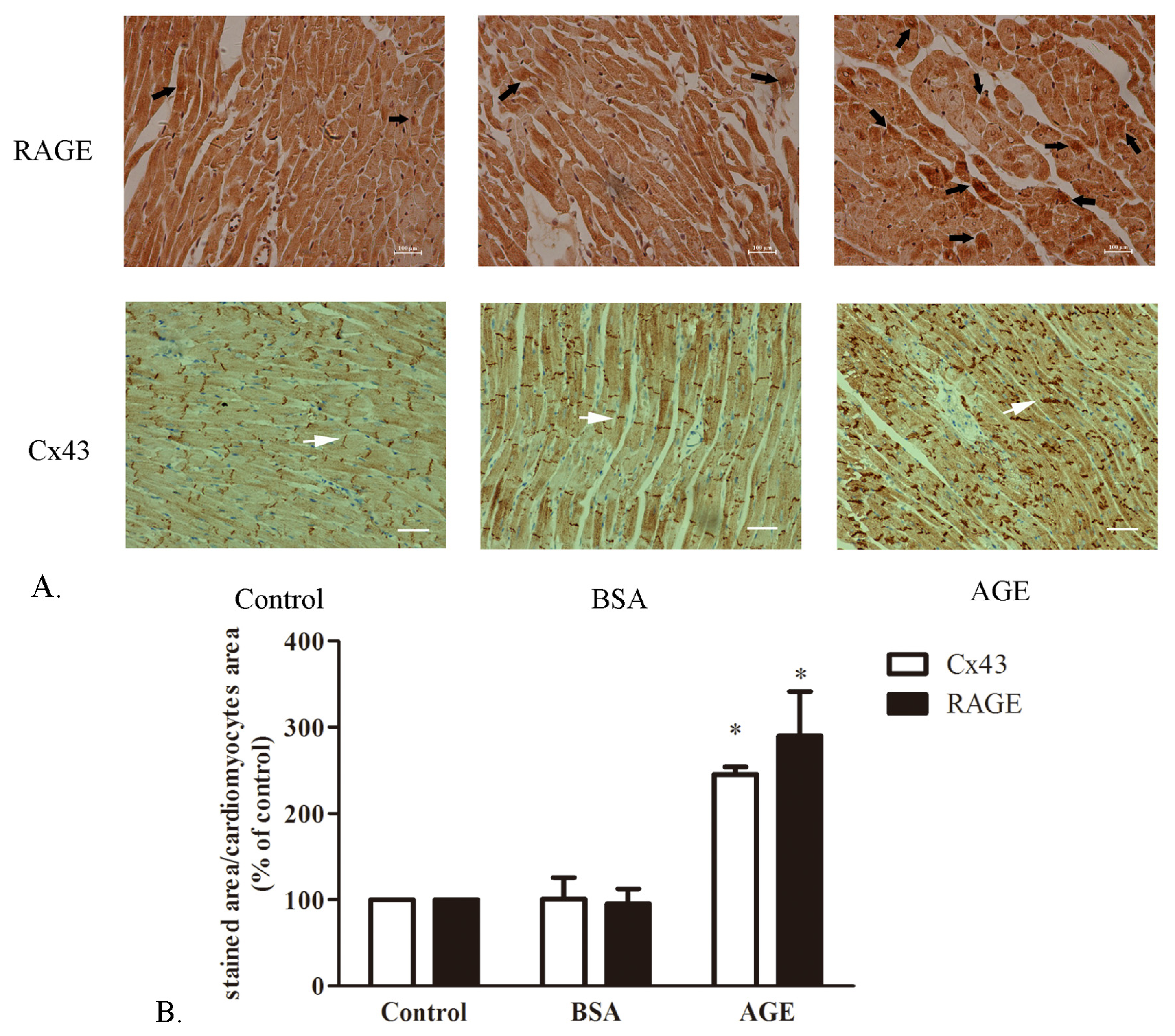 Ijms 14 02242f1 1024