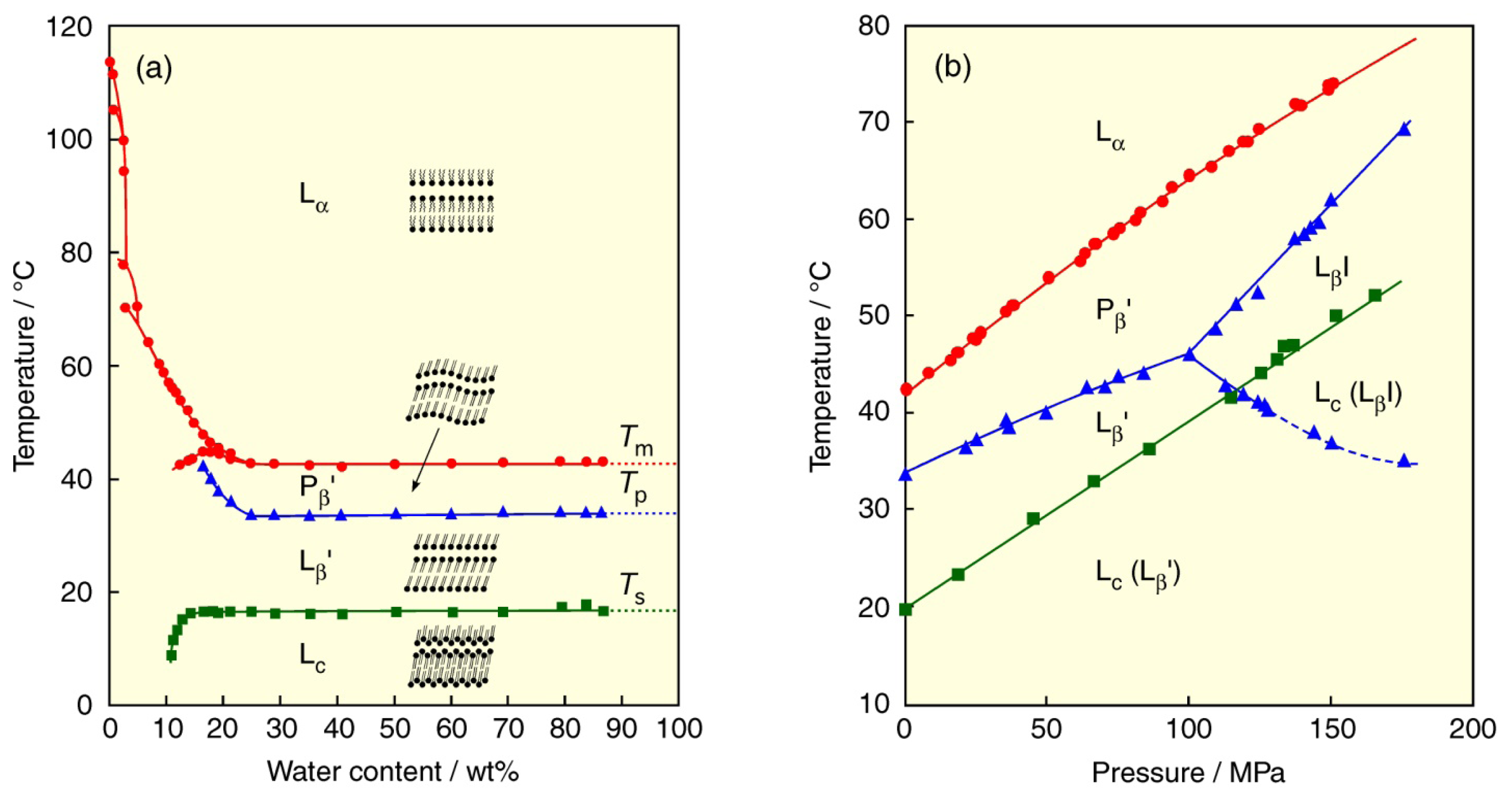 Ijms 14 02282f2 1024
