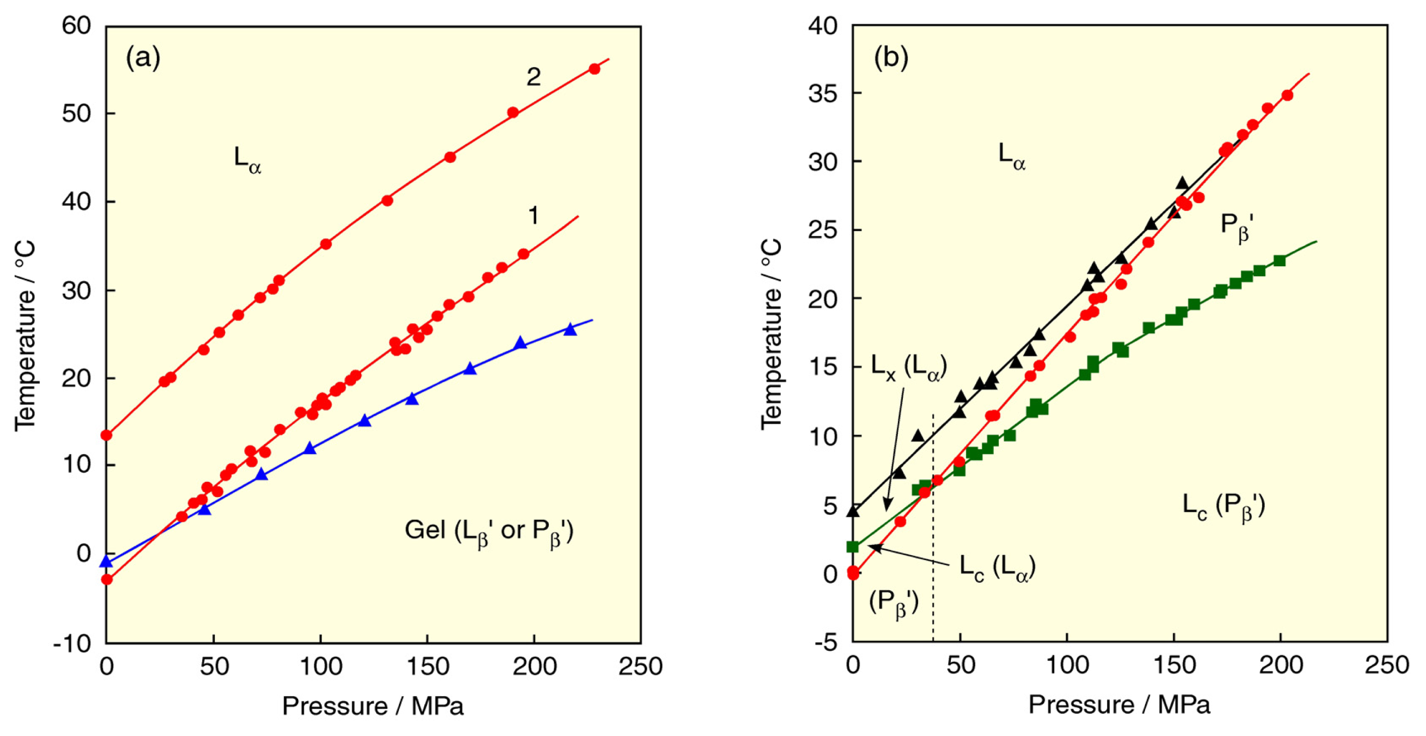 Ijms 14 02282f4 1024