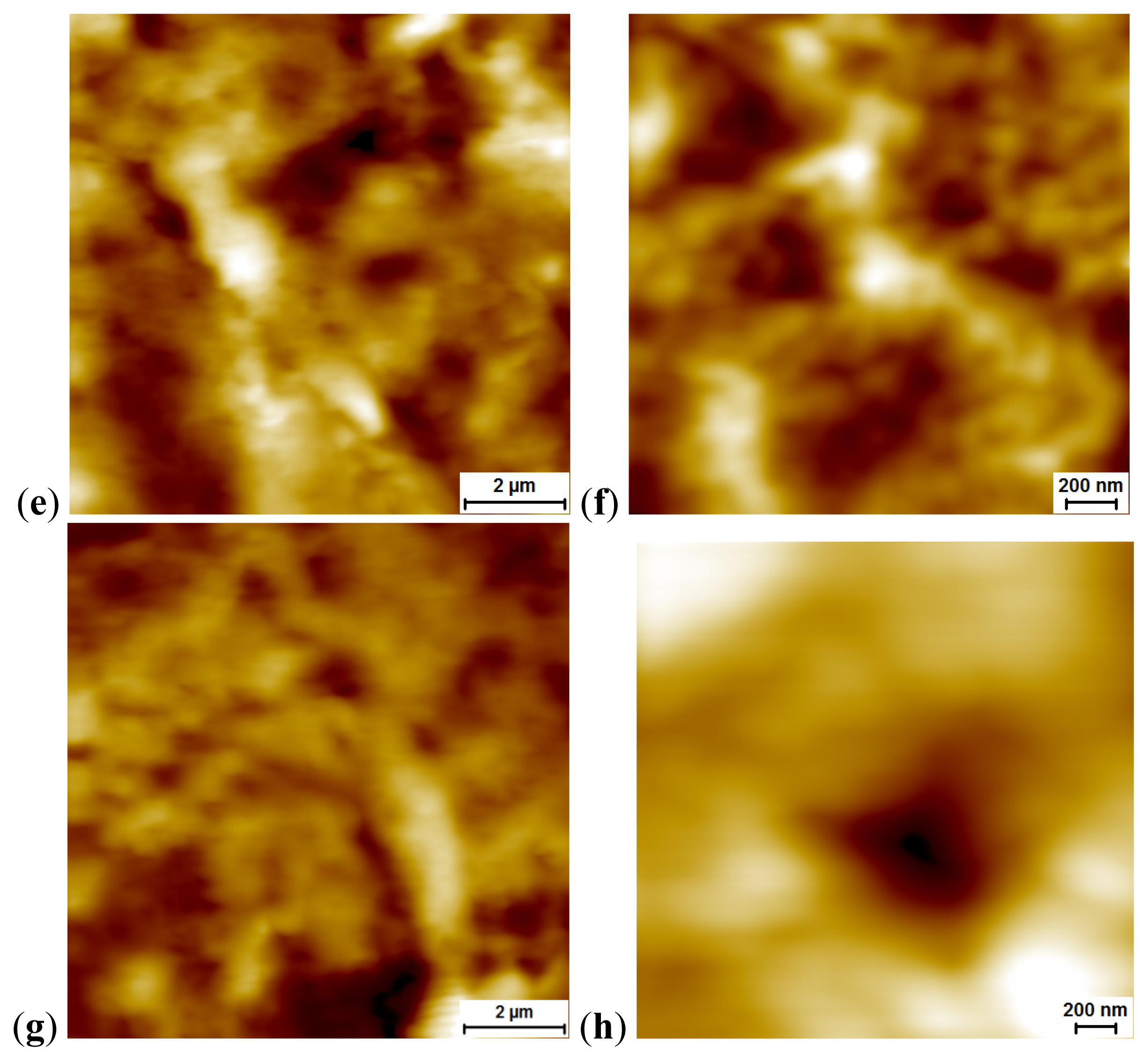 Ijms 14 02449f1b 1024