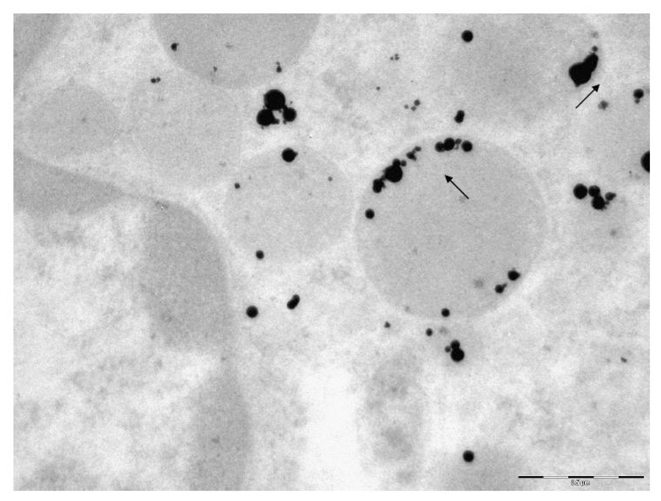 Ijms 14 02449f5 1024