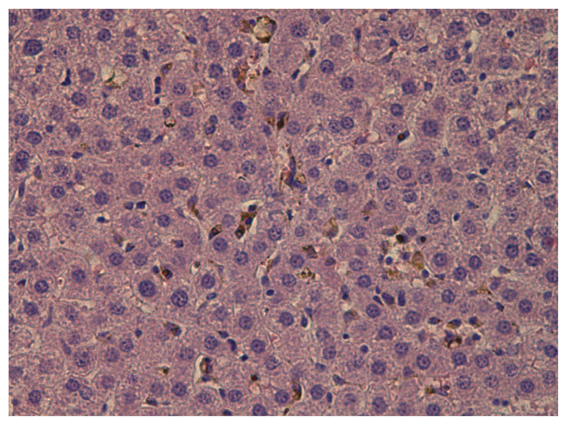 Ijms 14 02449f6 1024