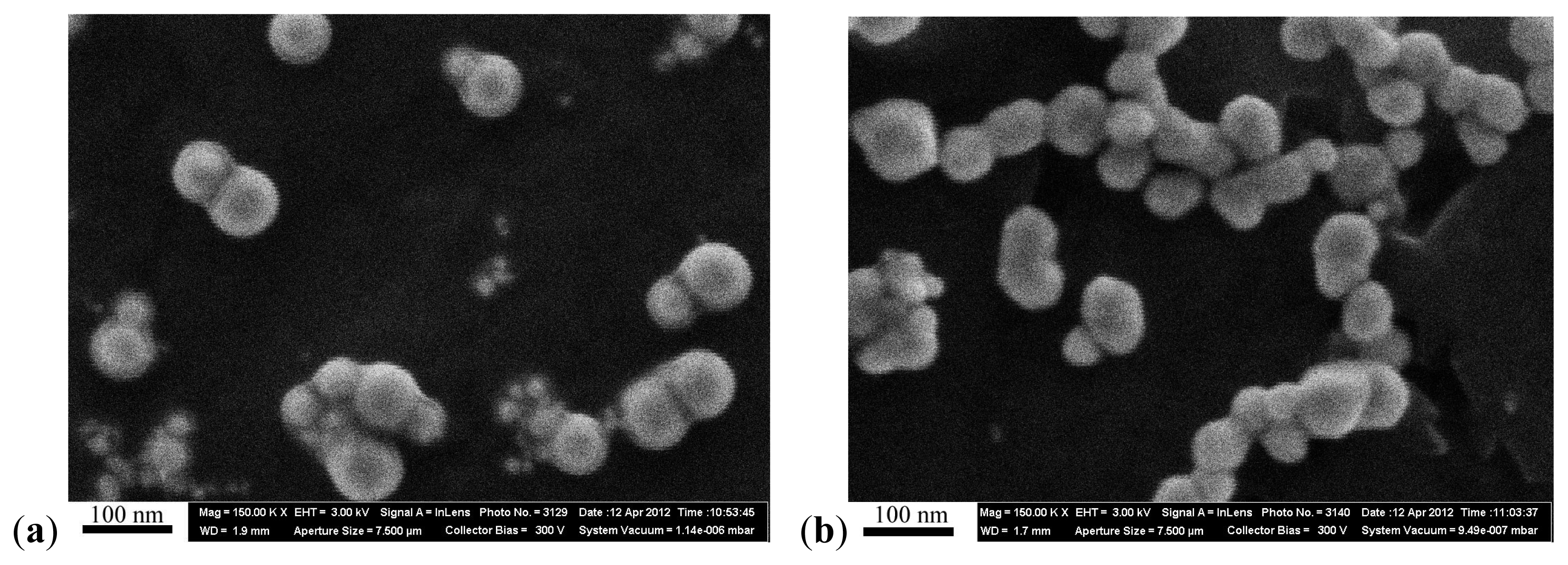 Ijms 14 02449f9 1024