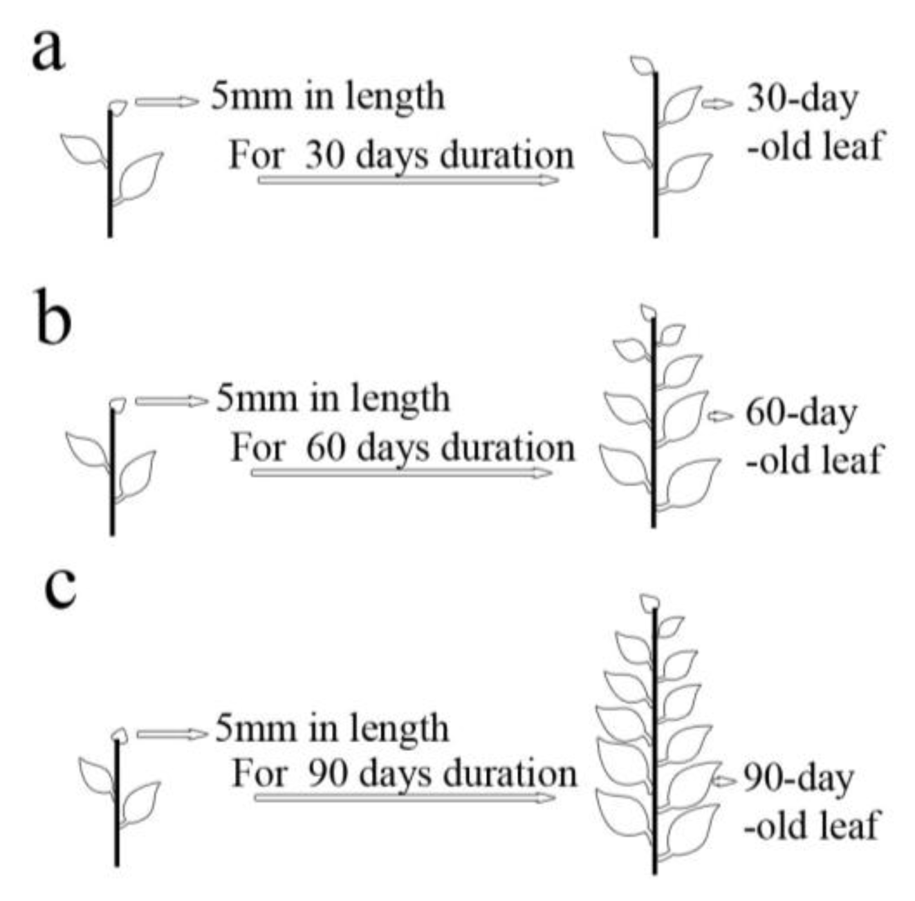 Ijms 14 02515f3 1024