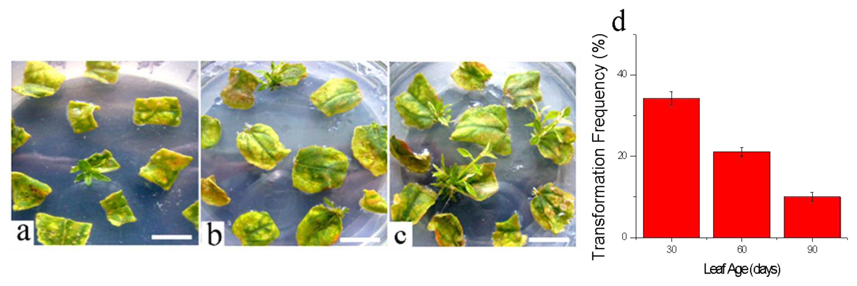 Ijms 14 02515f4 1024