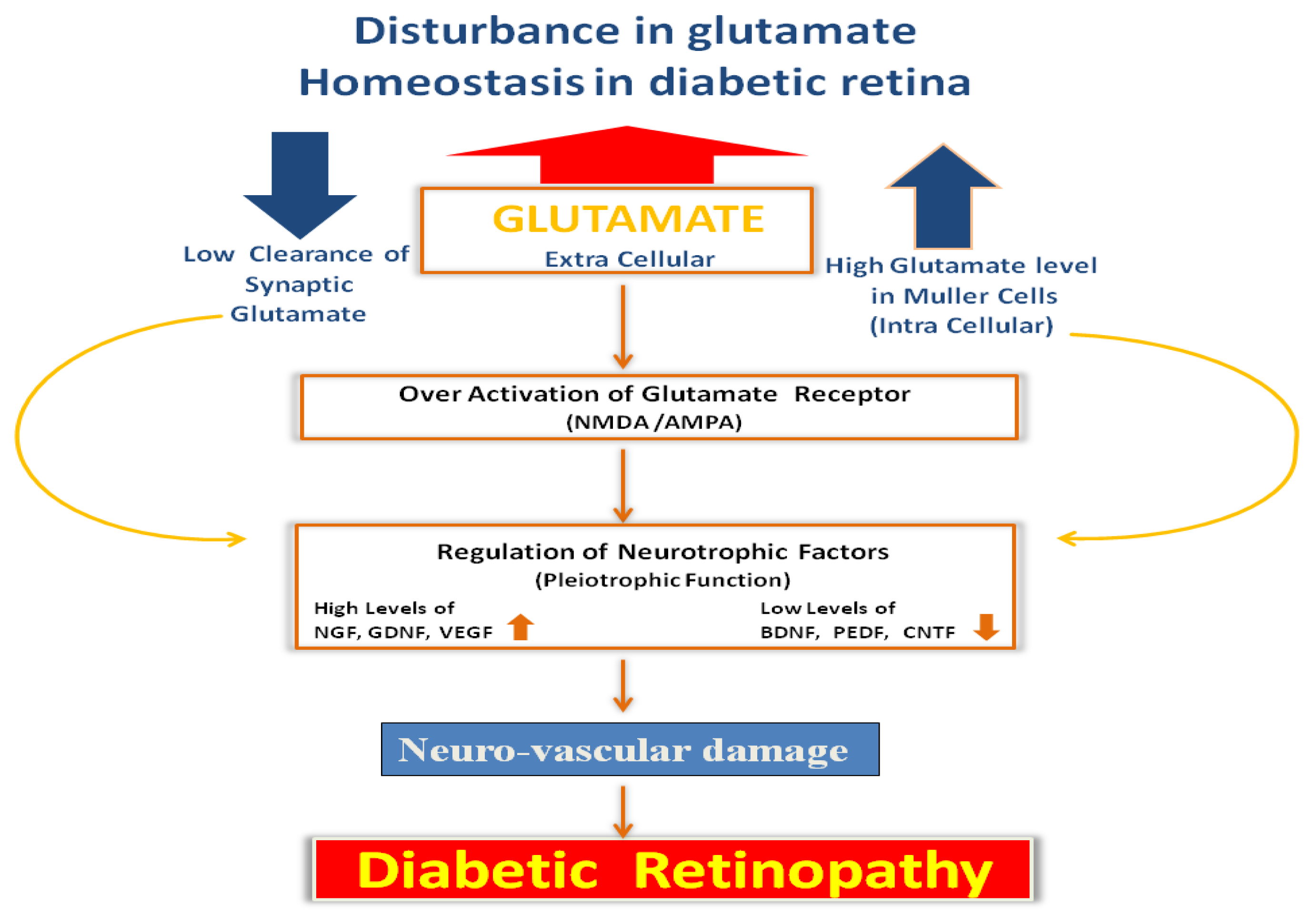 Ijms 14 02559f1 1024