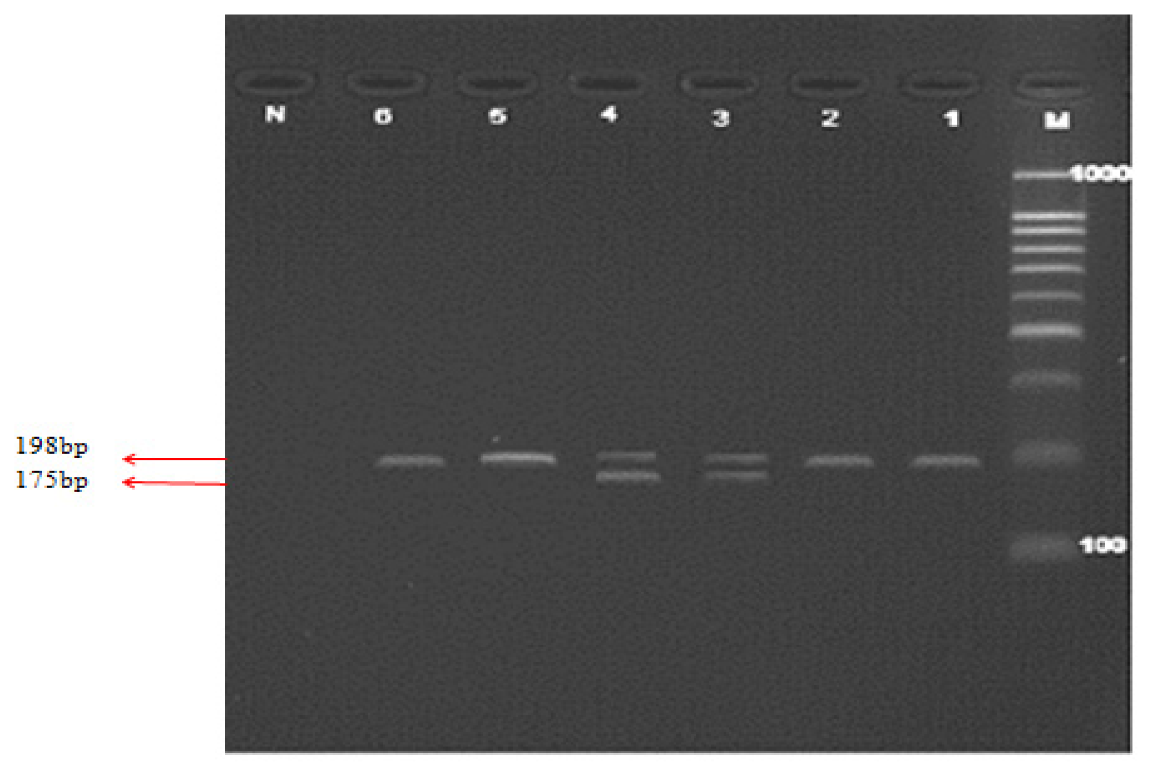 Ijms 14 02739f1 1024