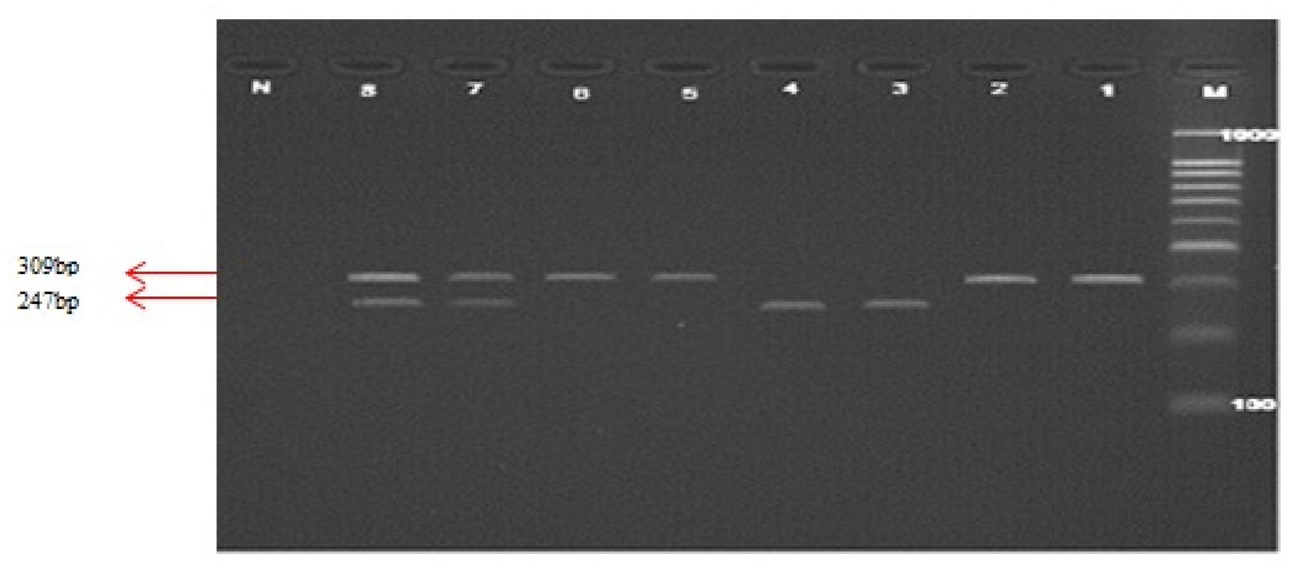 Ijms 14 02739f2 1024