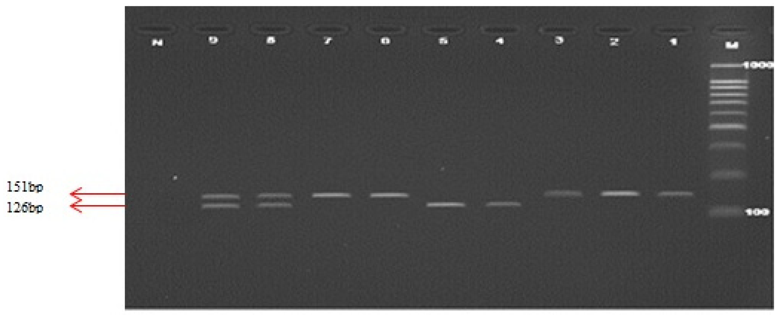 Ijms 14 02739f3 1024