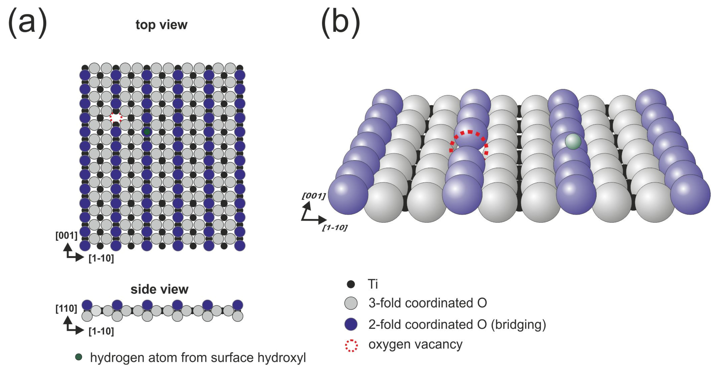 Ijms 14 02946f1 1024