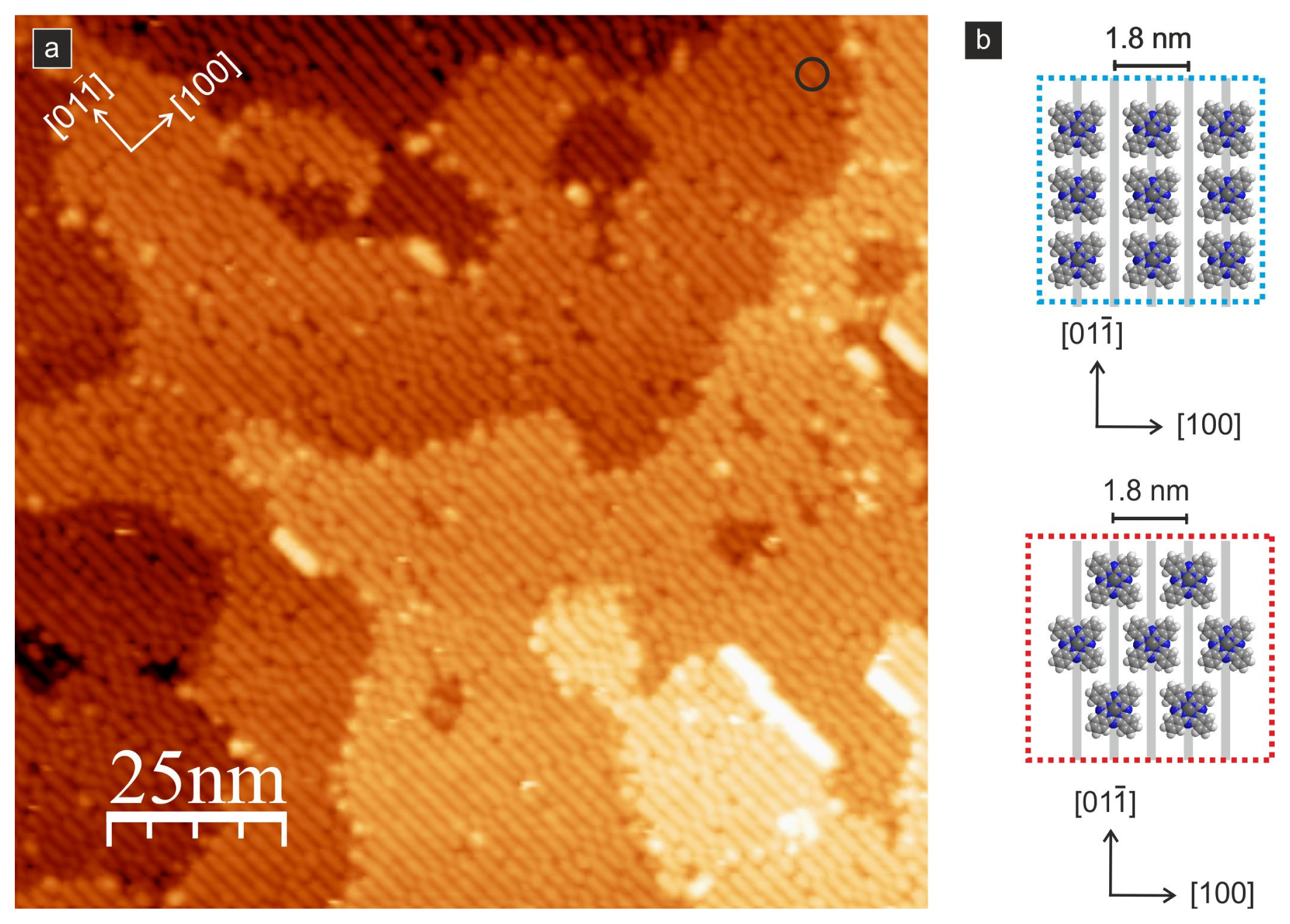 Ijms 14 02946f8 1024