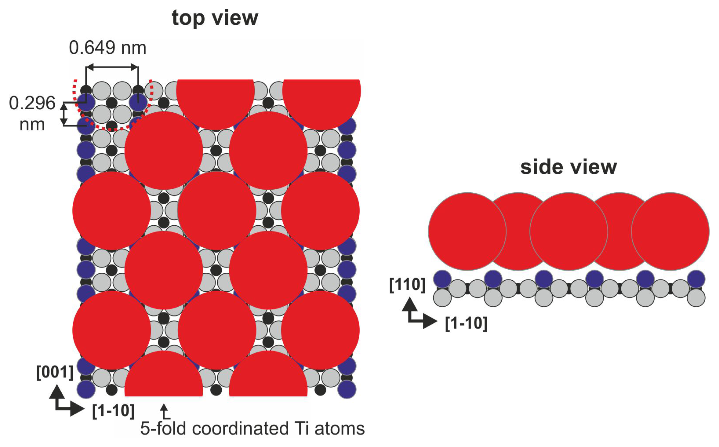 Ijms 14 02946f9 1024
