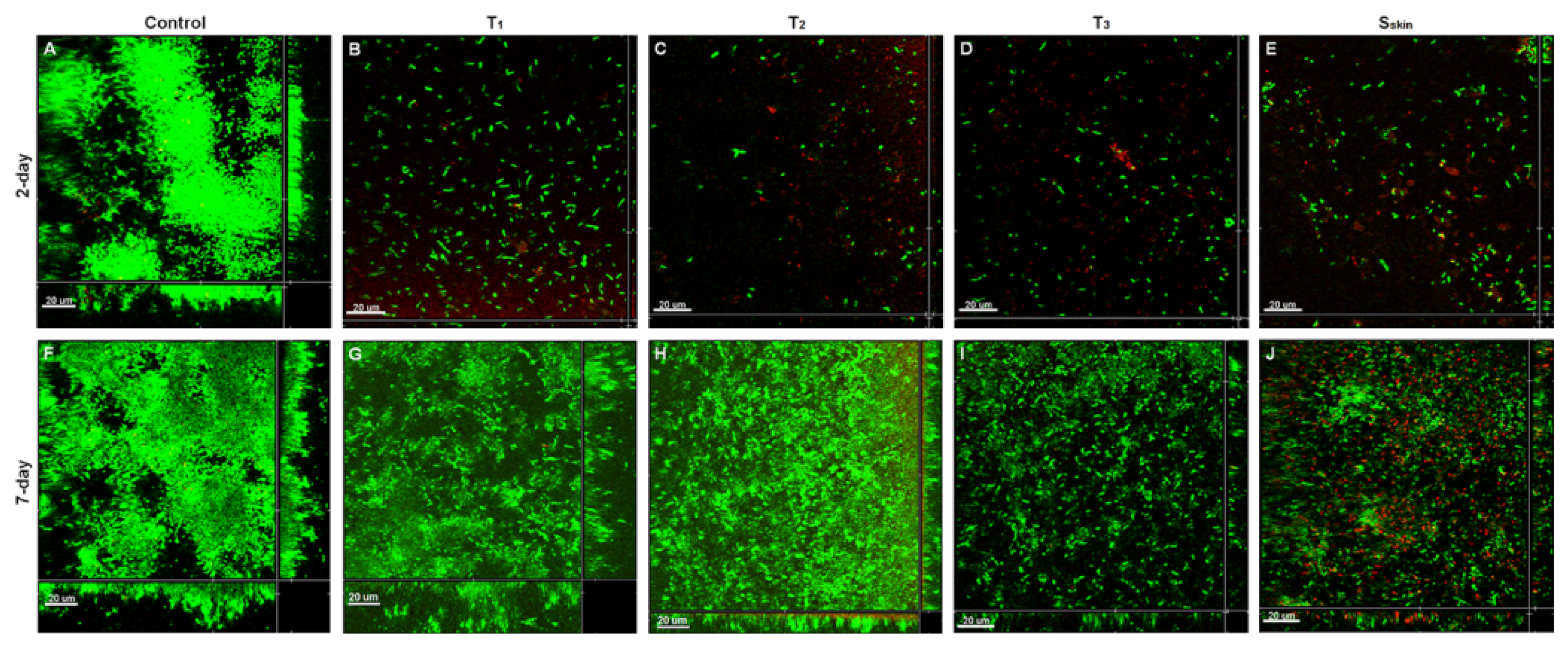 Ijms 14 03050f5 1024
