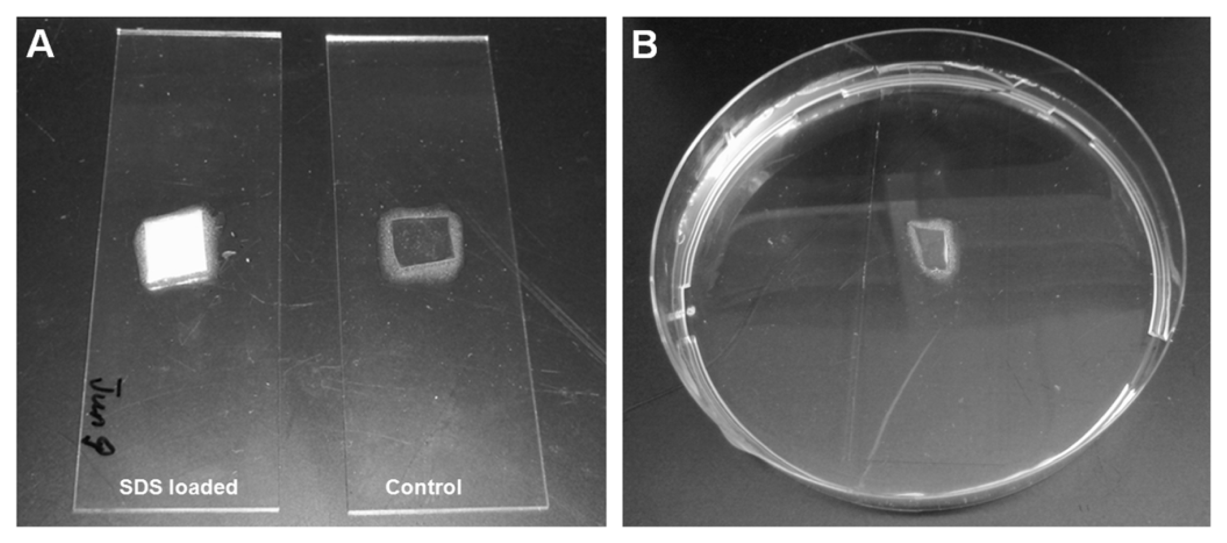 Ijms 14 03050f8 1024