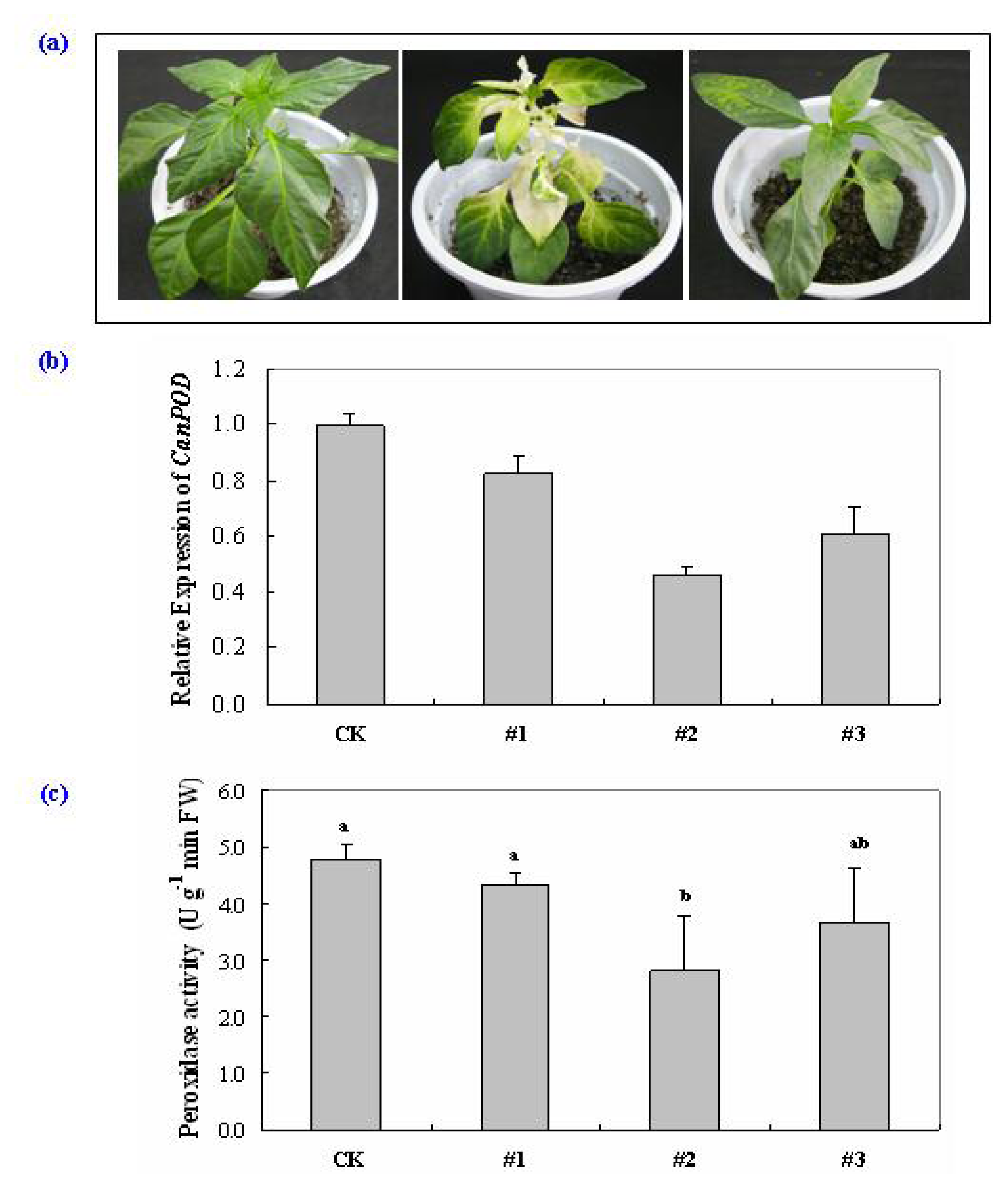 Ijms 14 03158f7 1024