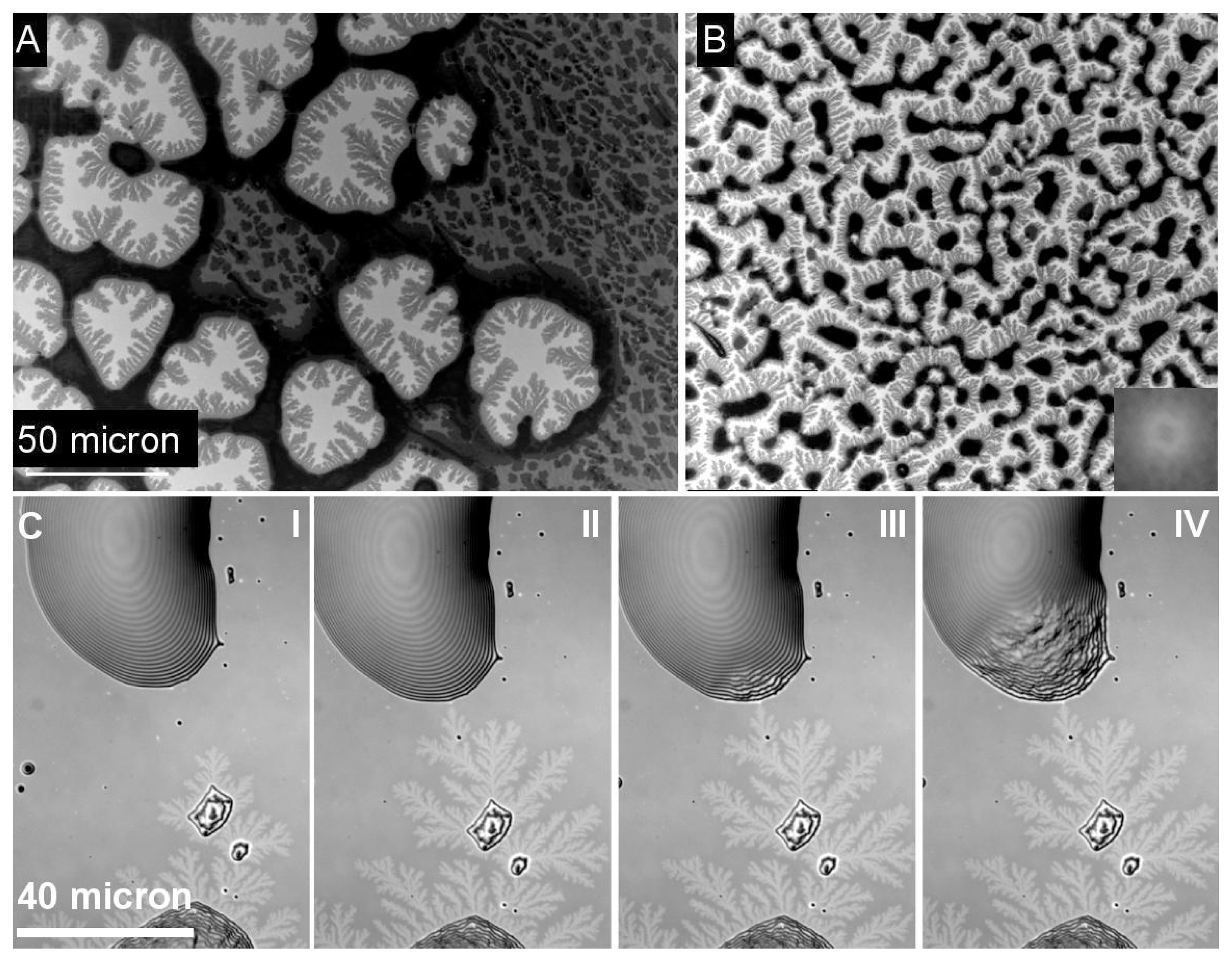 Ijms 14 03254f3 1024