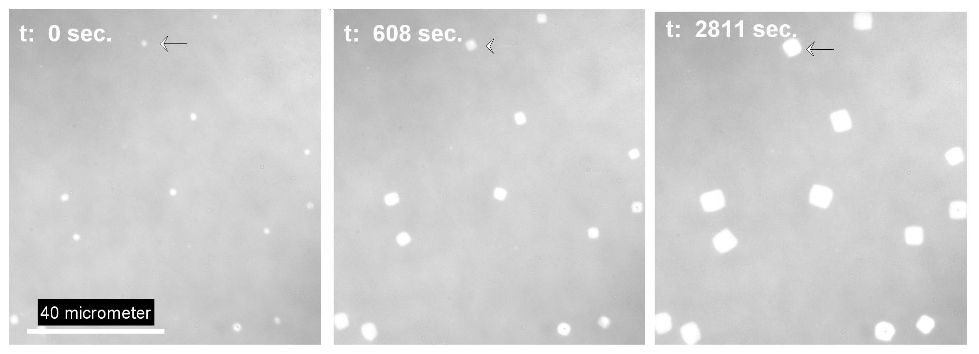 Ijms 14 03254f4 1024