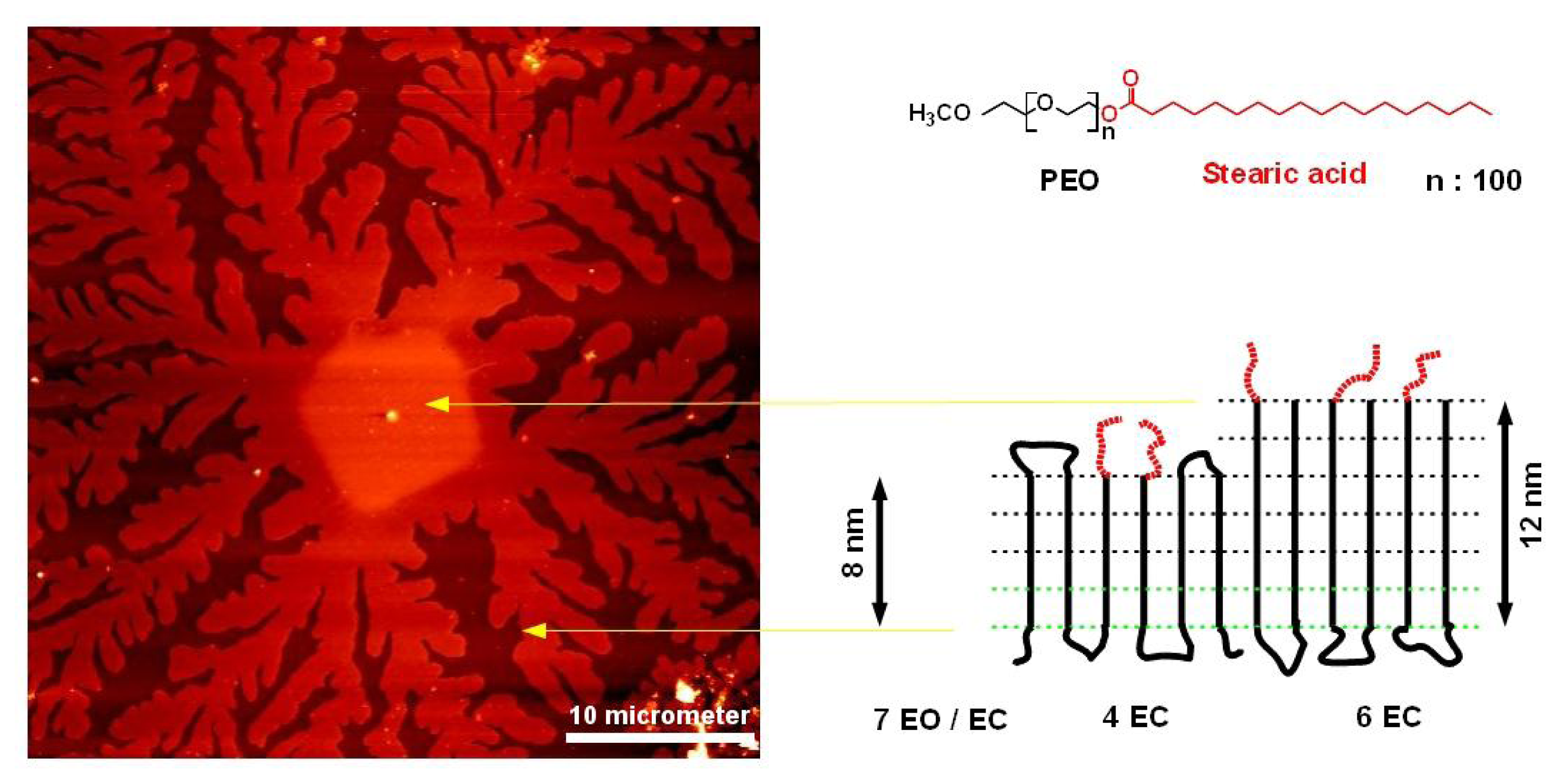 Ijms 14 03254f6 1024