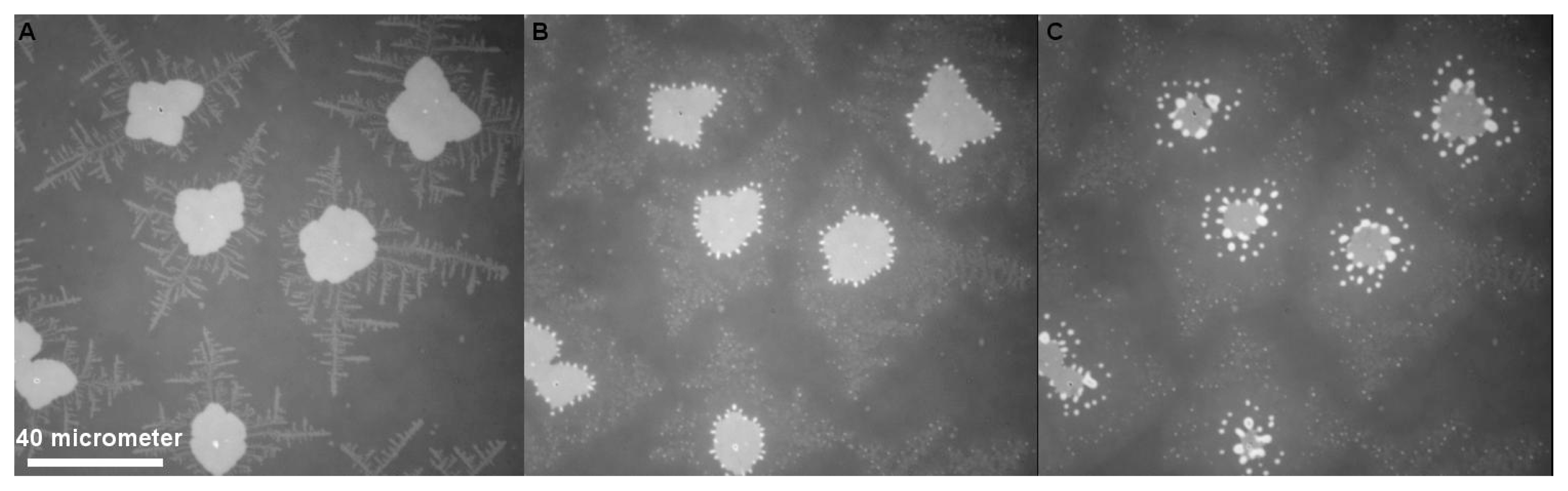 Ijms 14 03254f7 1024