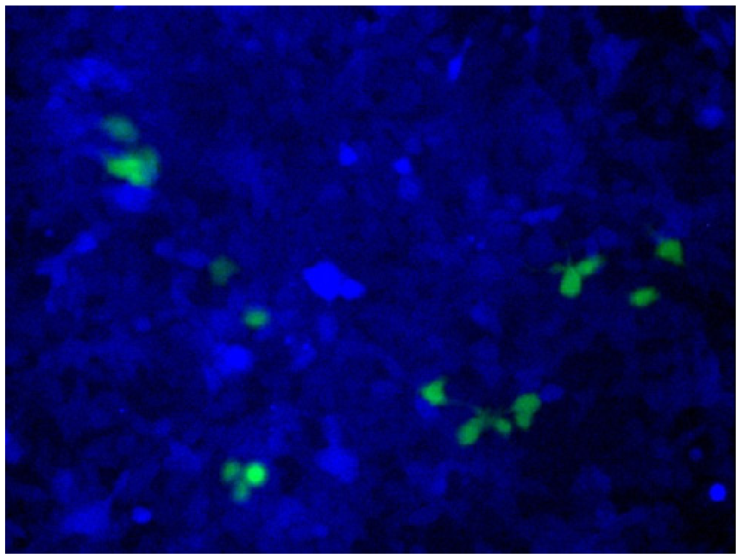 Ijms 14 03343f10 1024