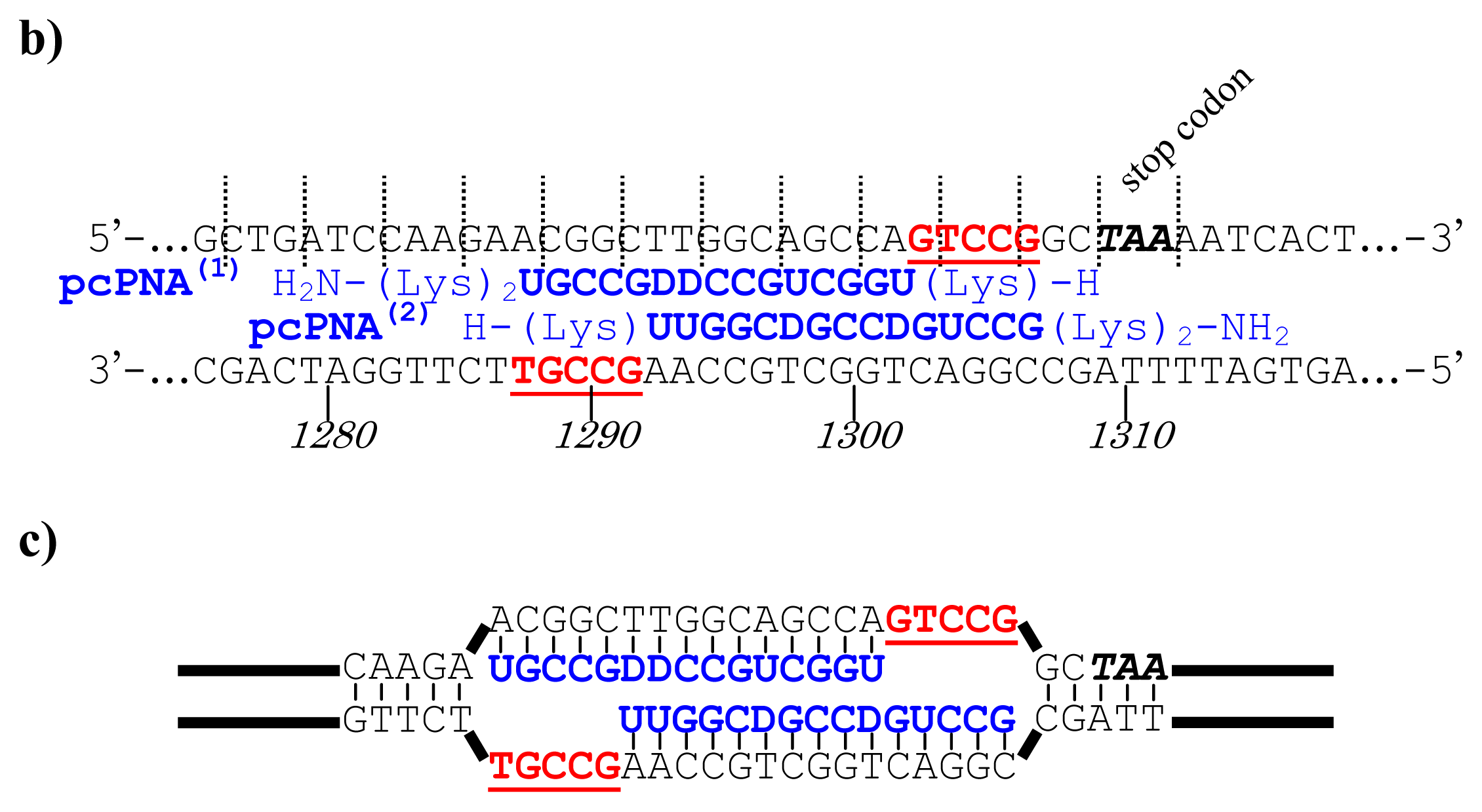 Ijms 14 03343f5b 1024