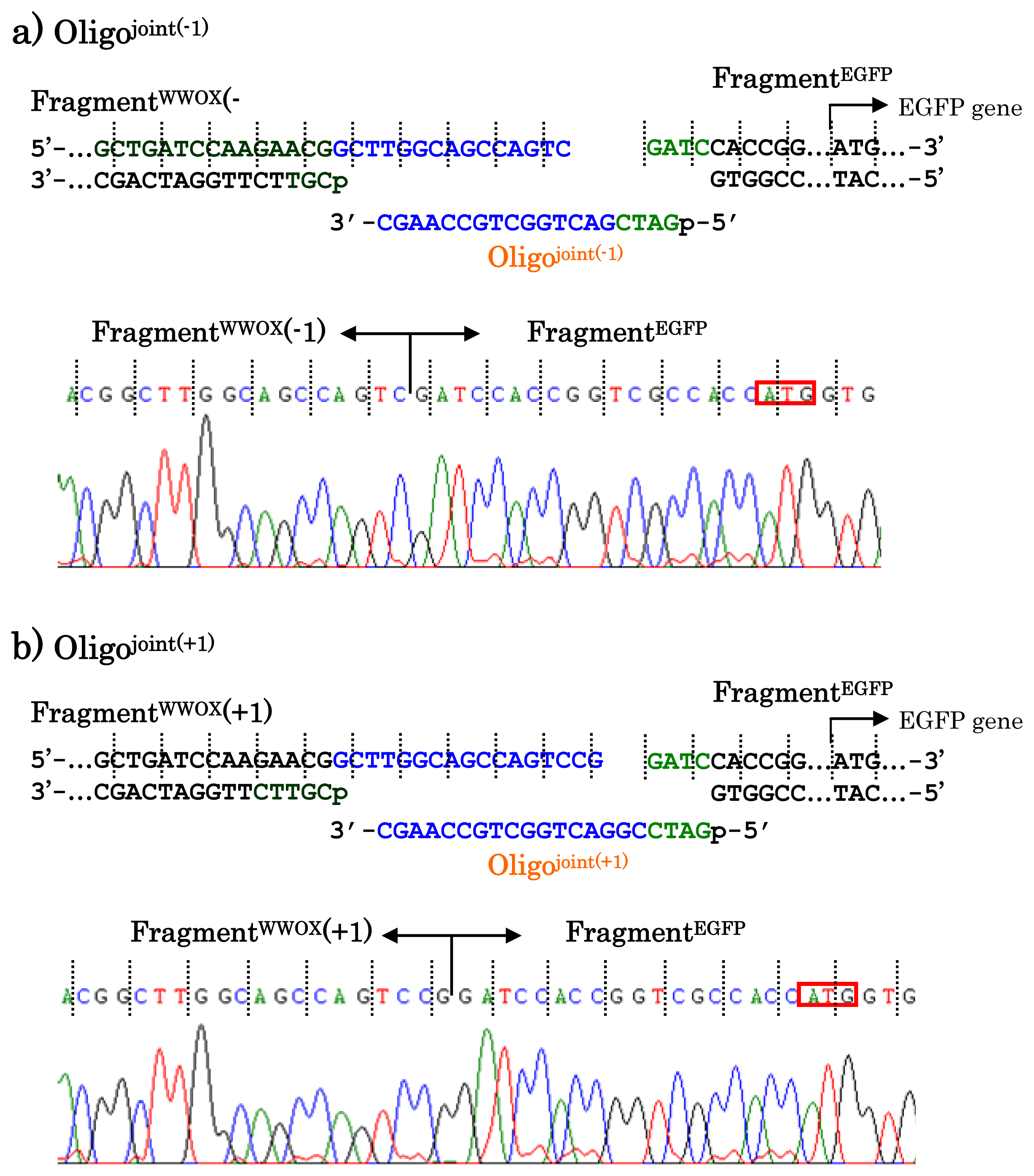 Ijms 14 03343f7 1024