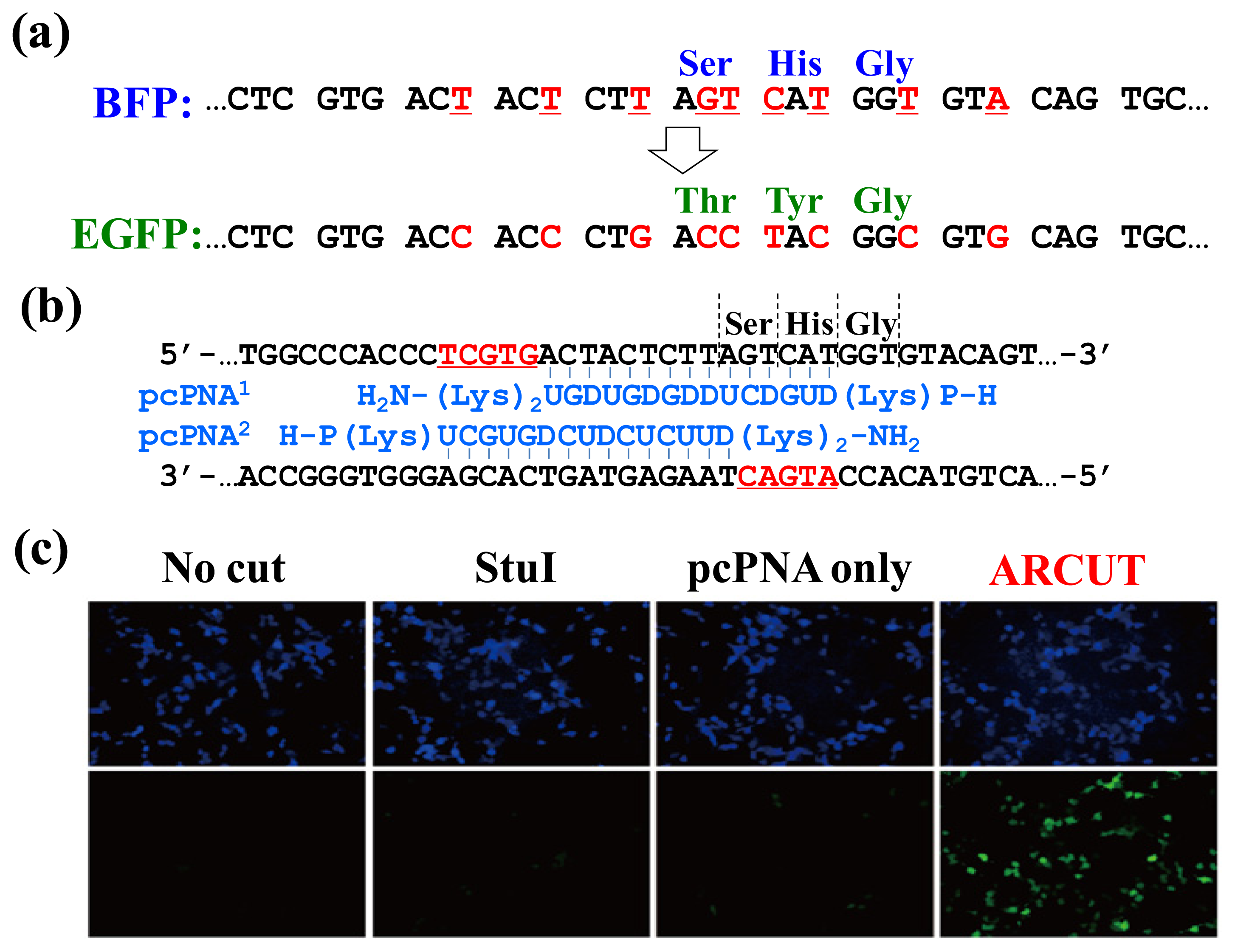 Ijms 14 03343f9 1024