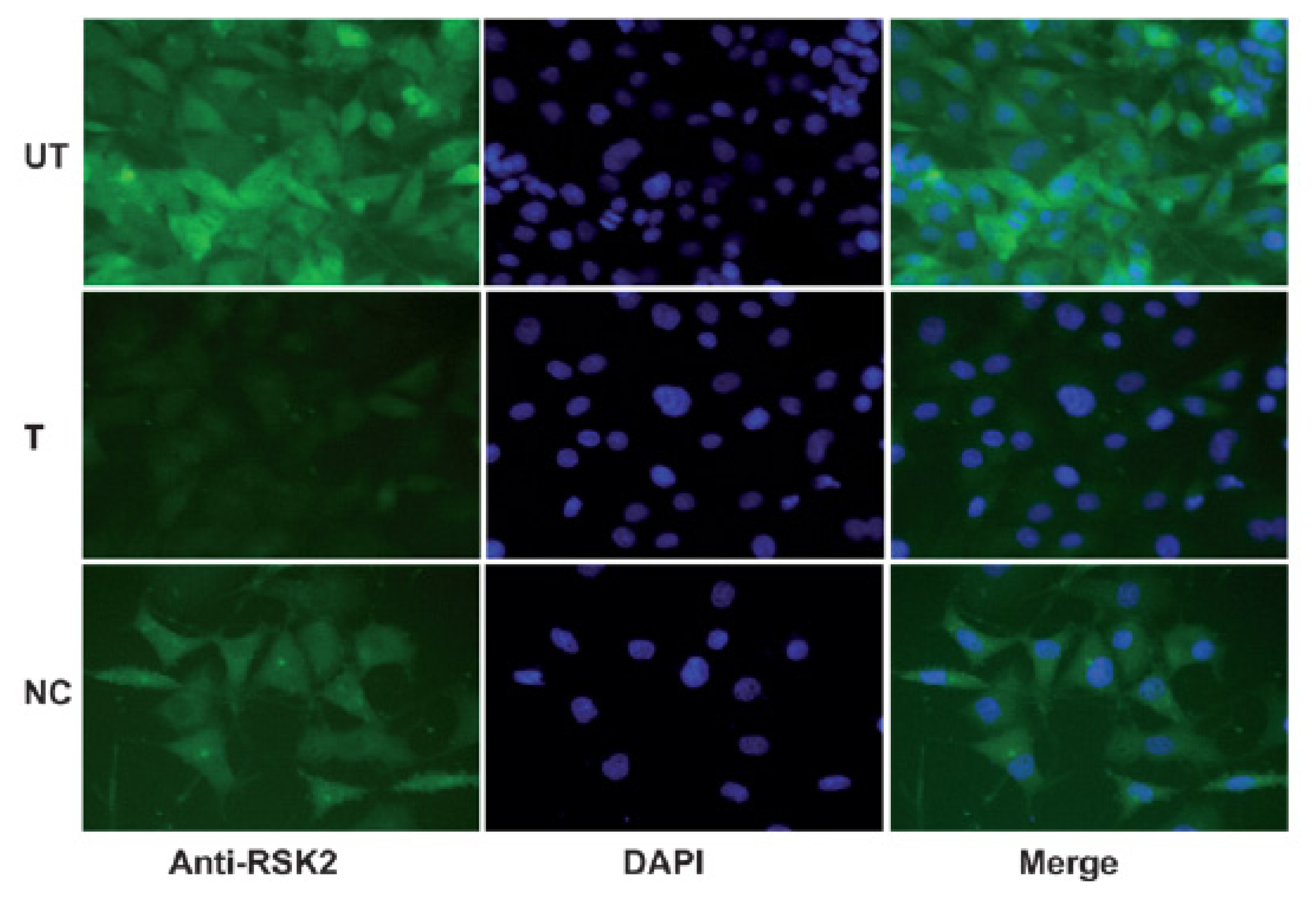 Ijms 14 03358f2 1024